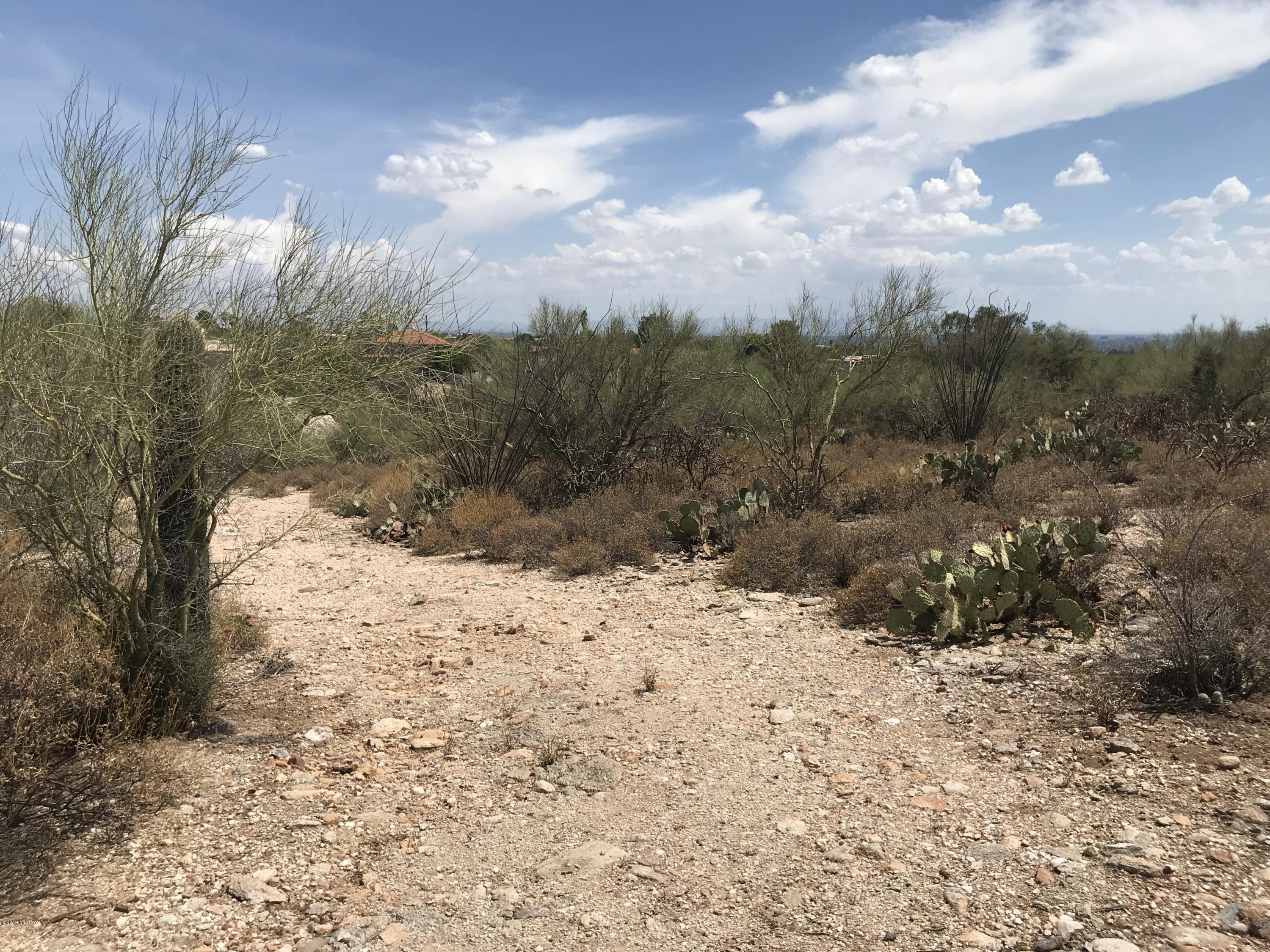 7125 N Thunderhead Drive