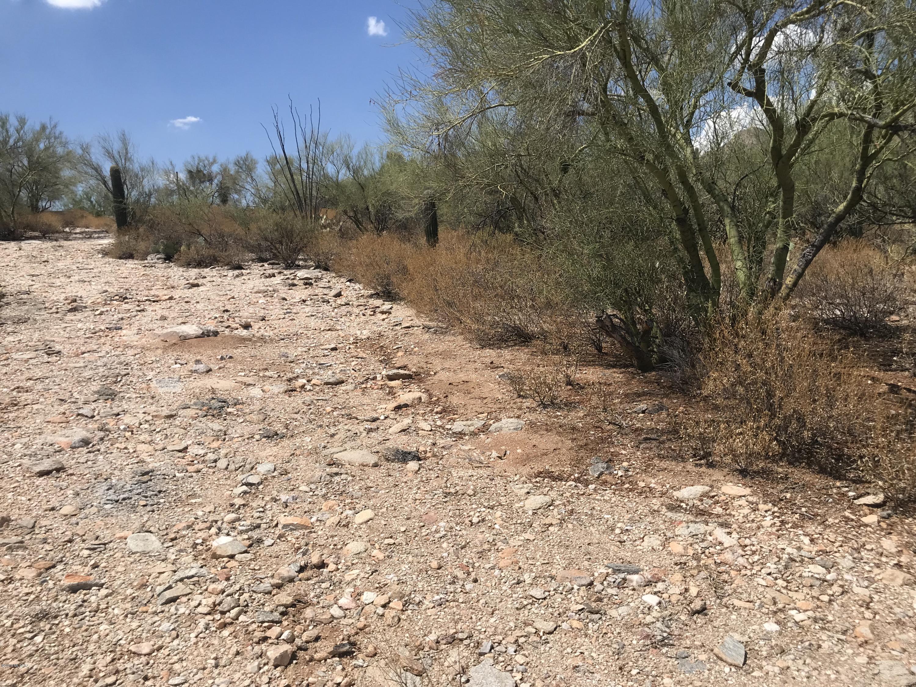 7125 N Thunderhead Drive