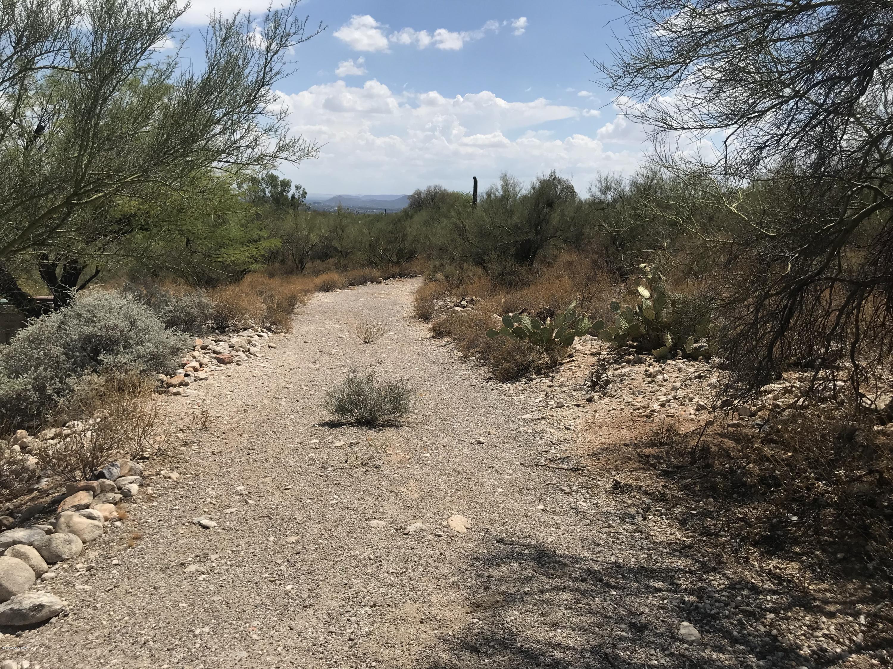 7125 N Thunderhead Drive