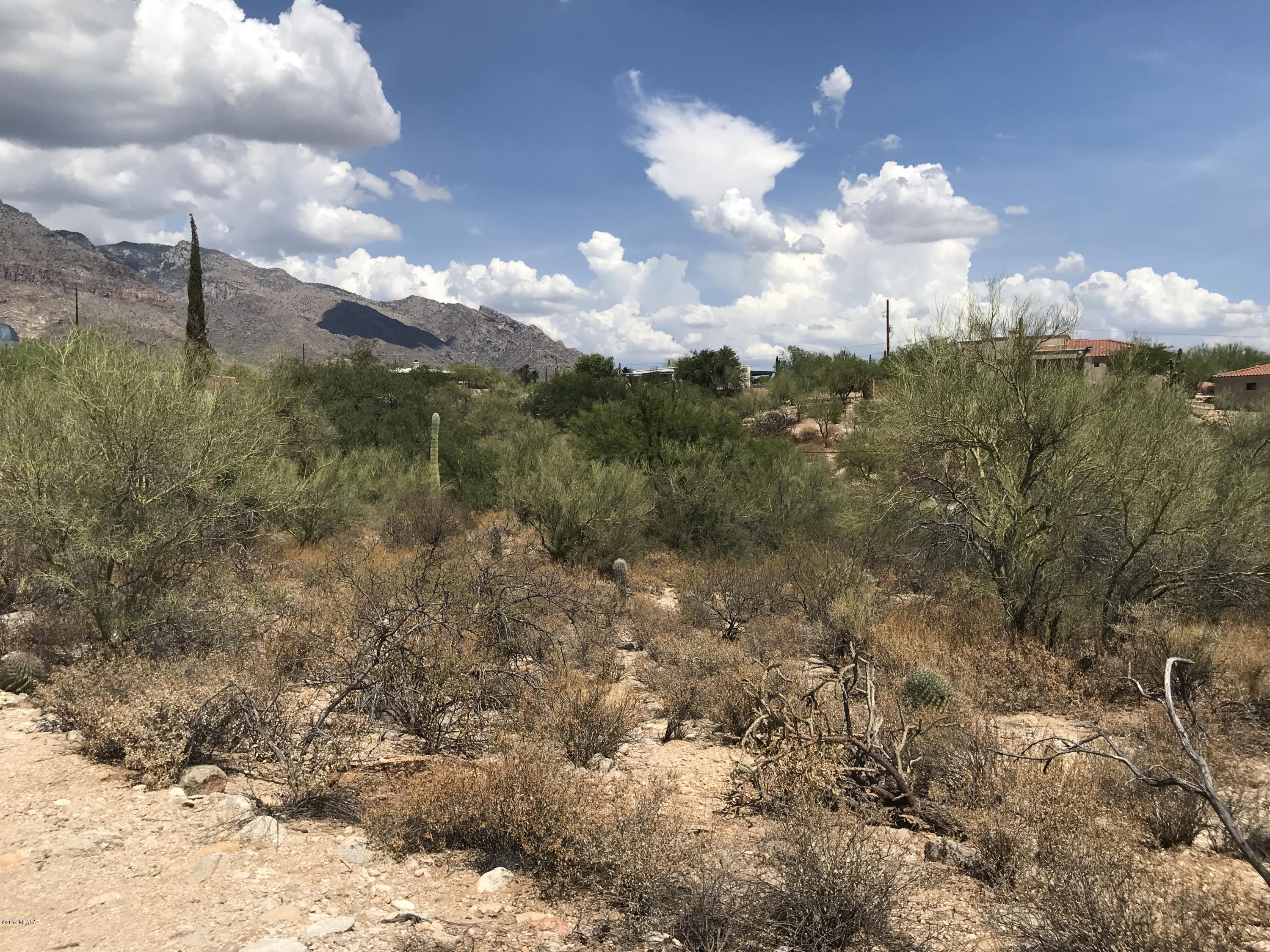 7125 N Thunderhead Drive