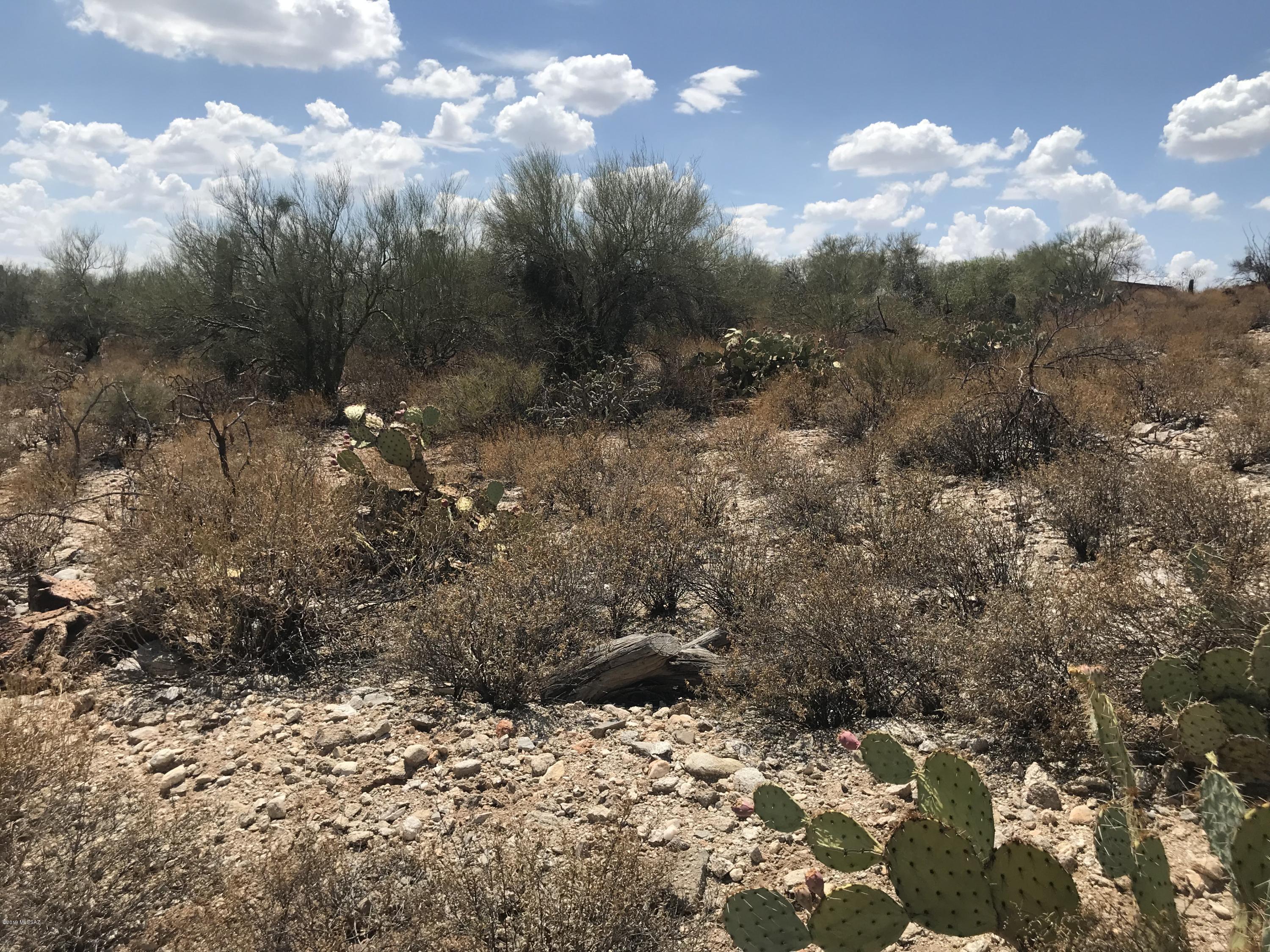 7125 N Thunderhead Drive