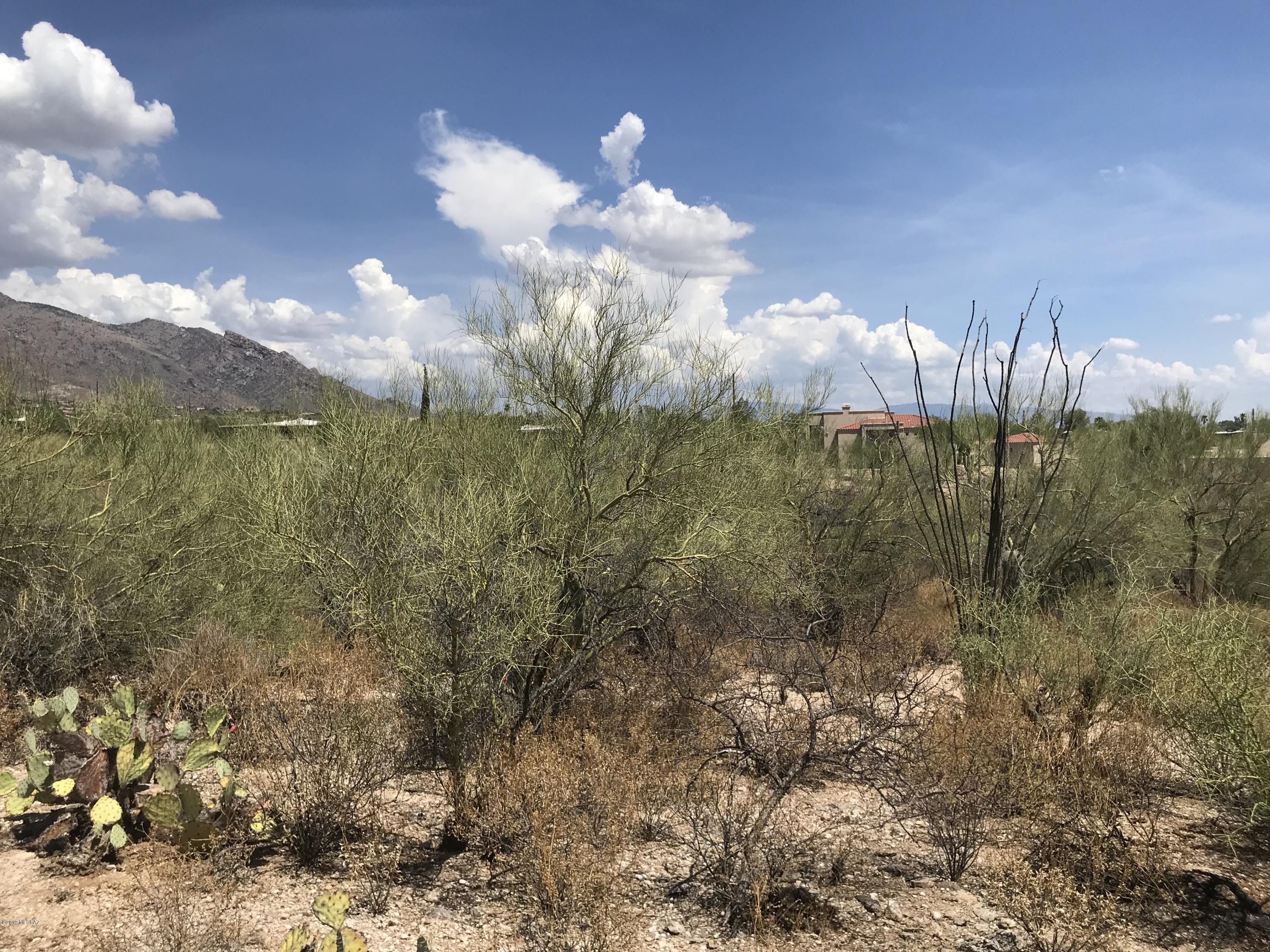 7125 N Thunderhead Drive