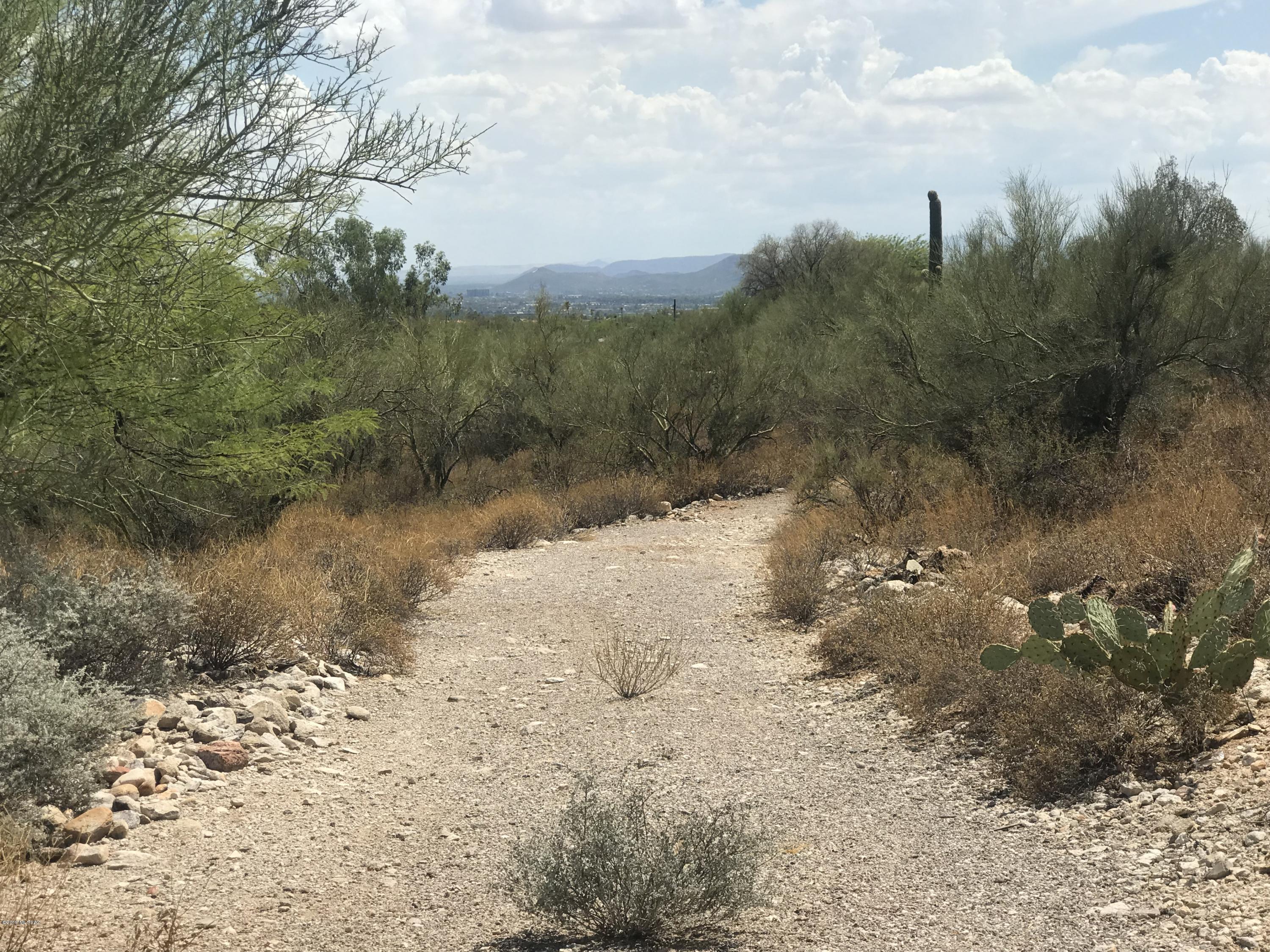 7125 N Thunderhead Drive