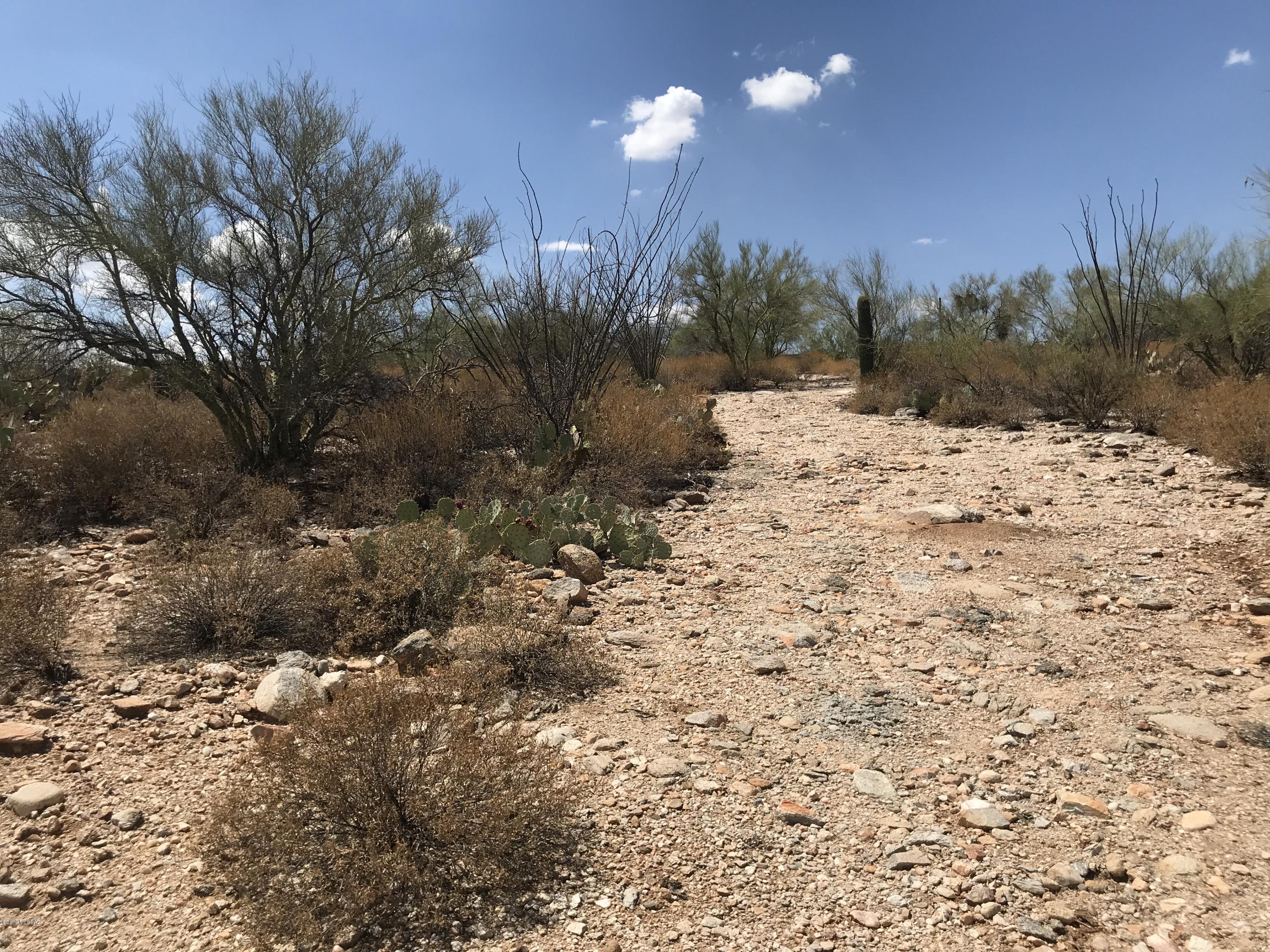 7125 N Thunderhead Drive