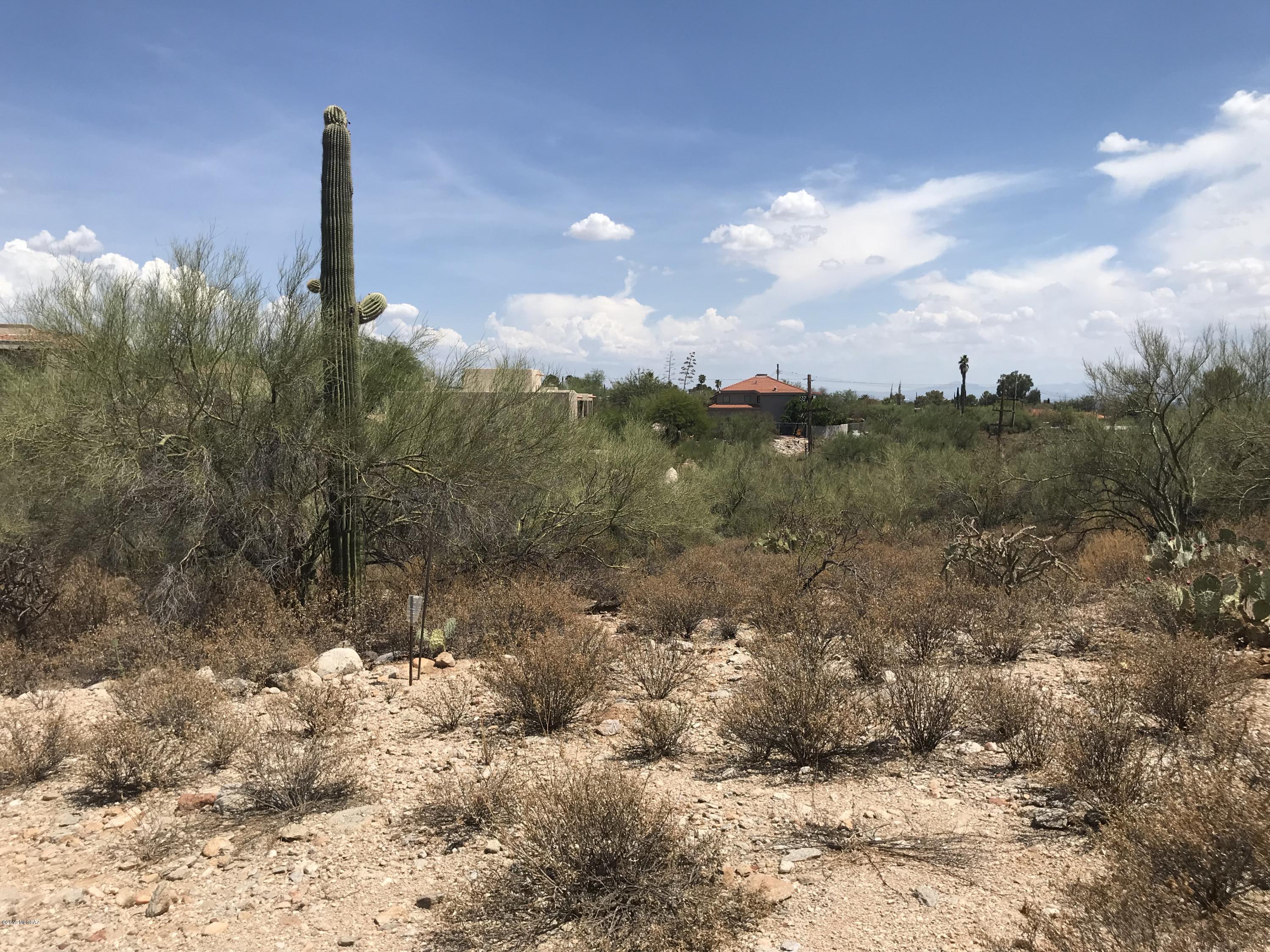 7125 N Thunderhead Drive