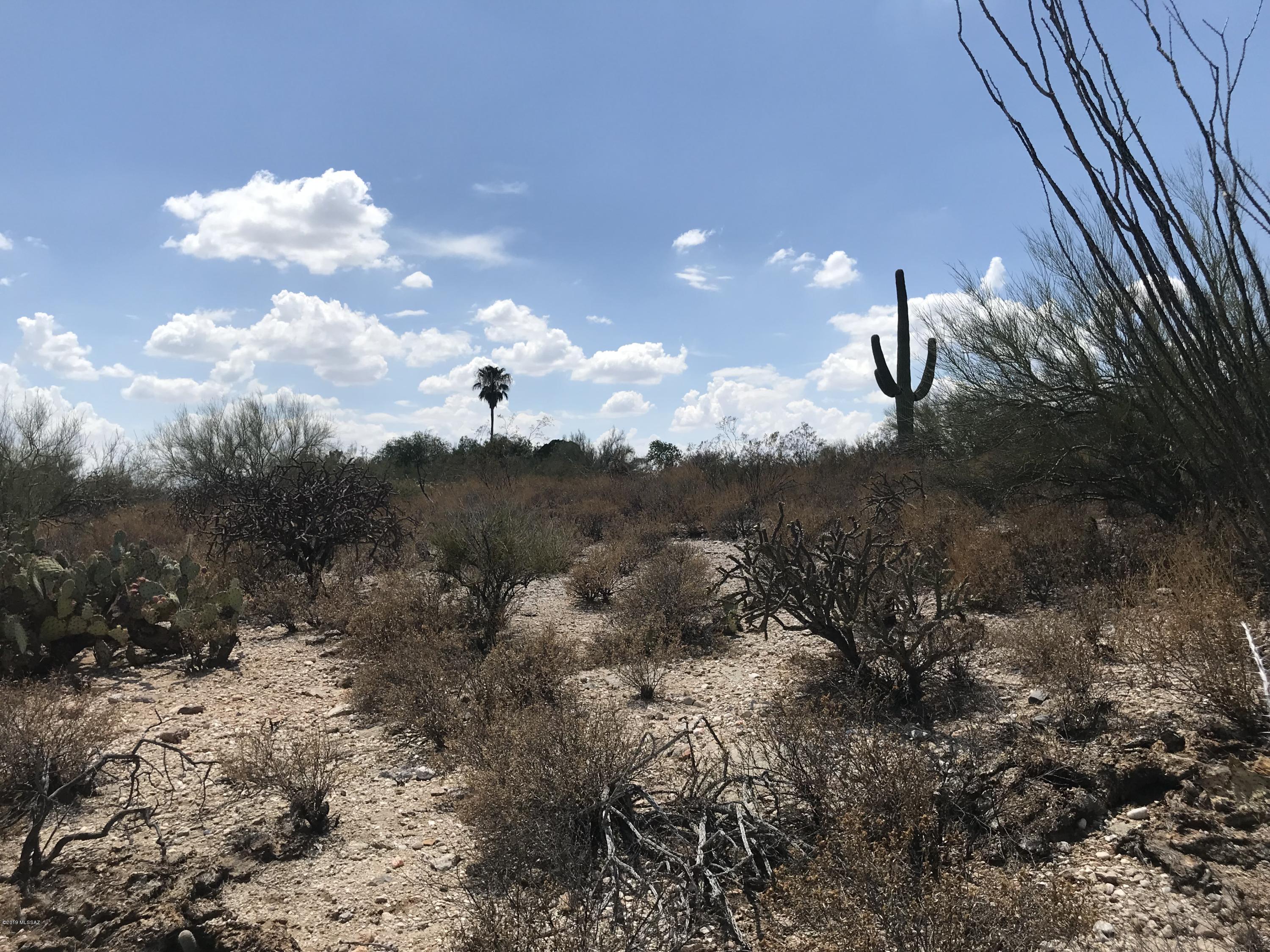 7125 N Thunderhead Drive