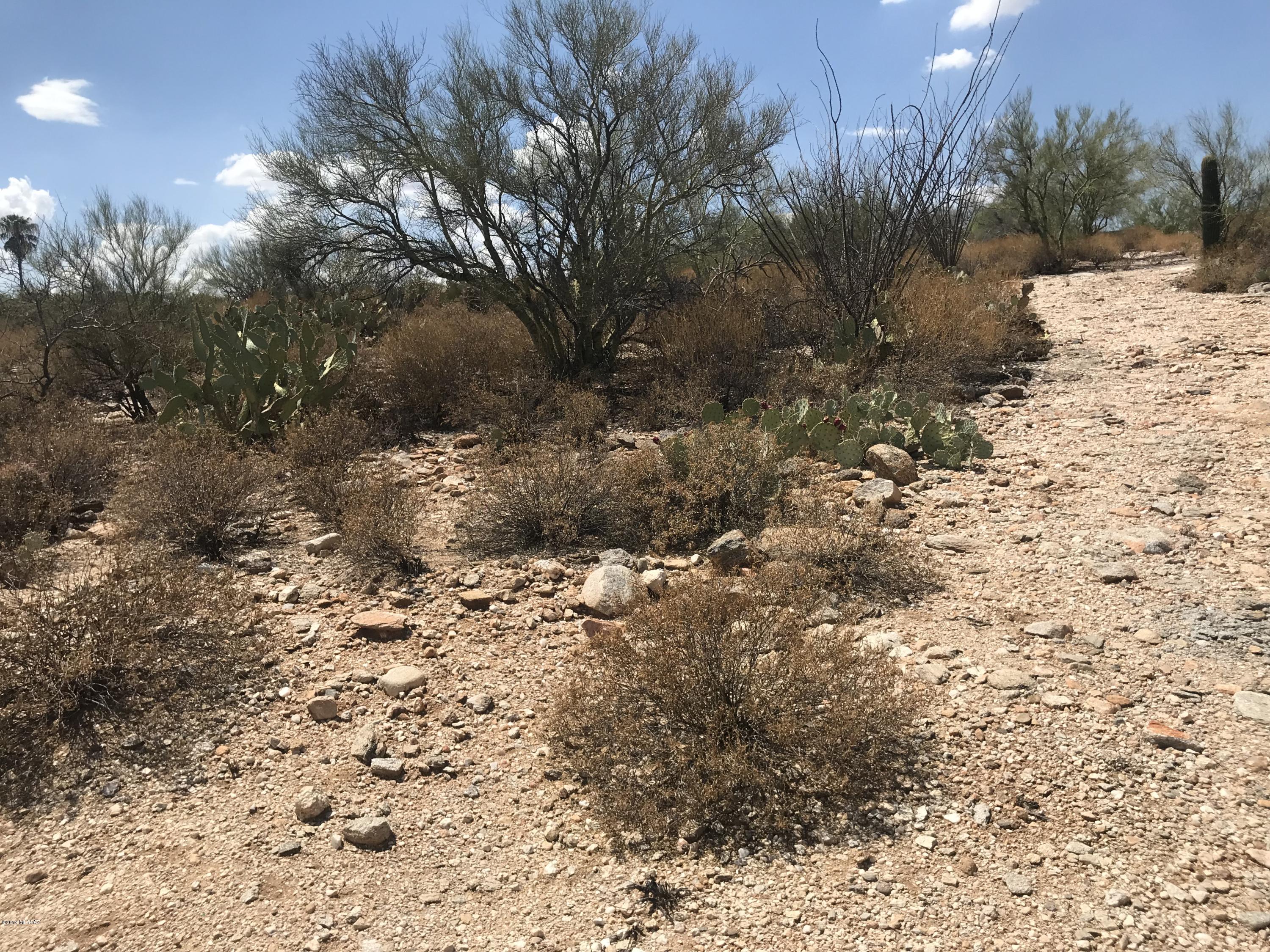 7125 N Thunderhead Drive