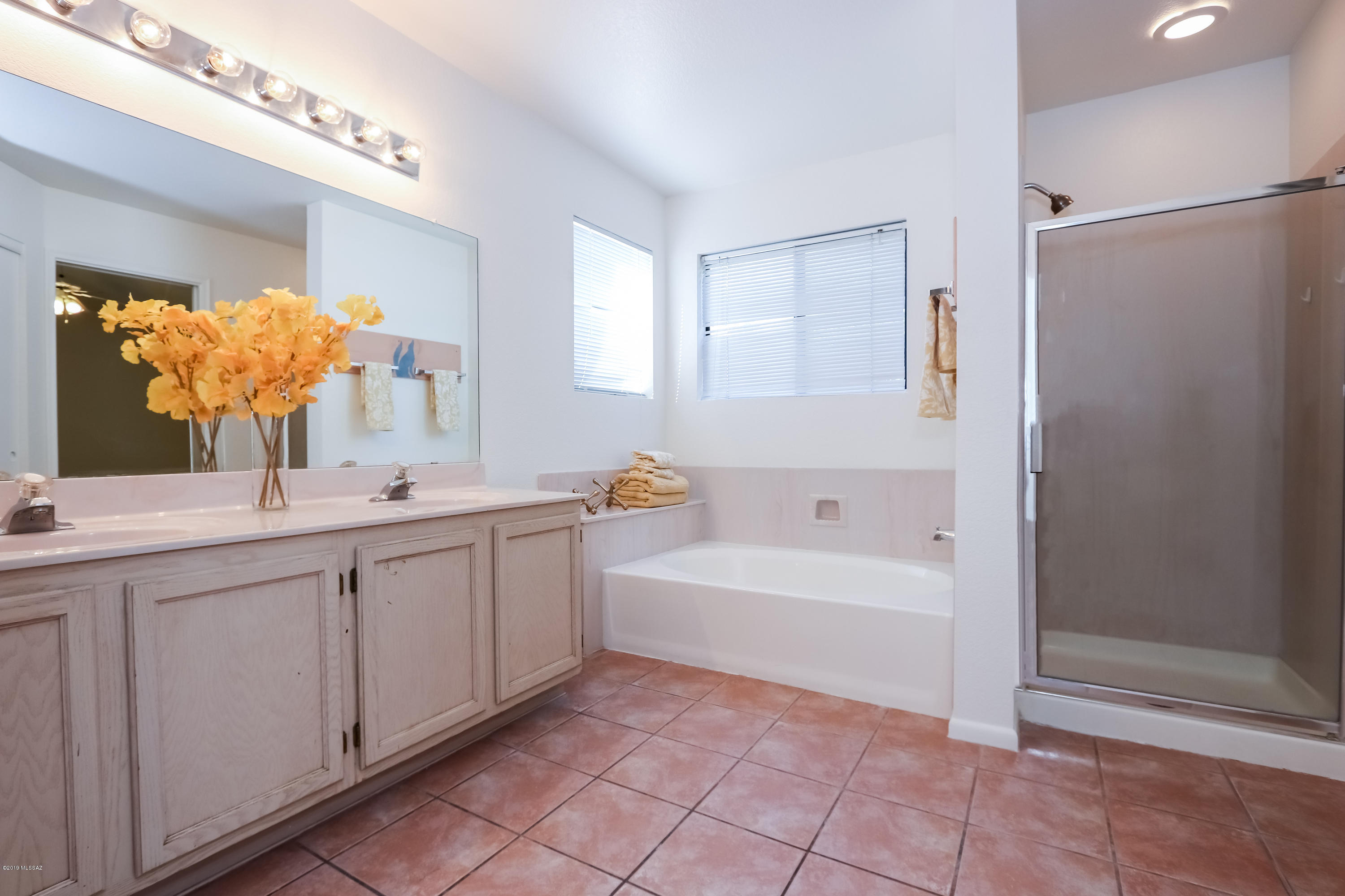 10359 N Fair Desert Drive