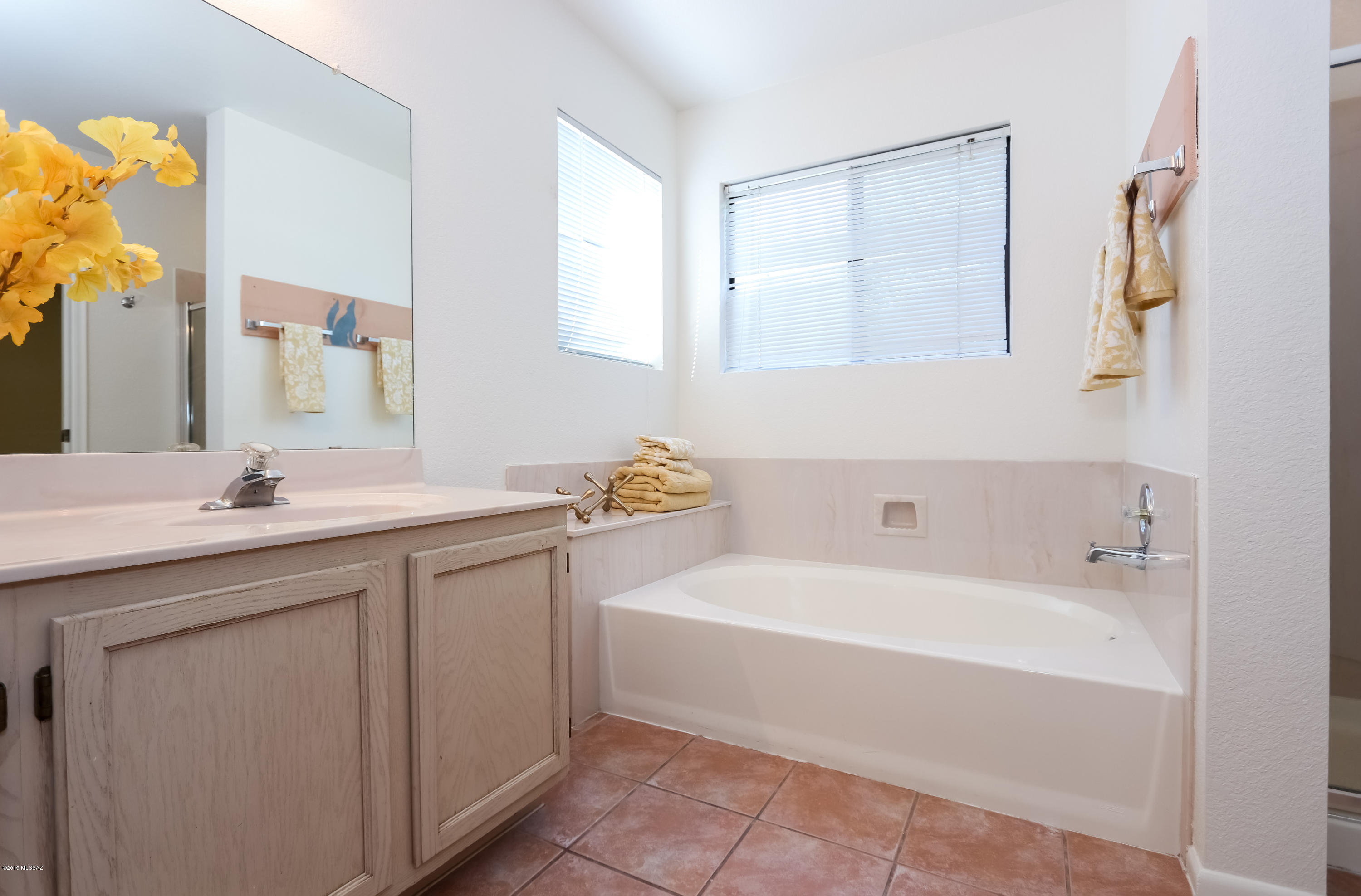 10359 N Fair Desert Drive