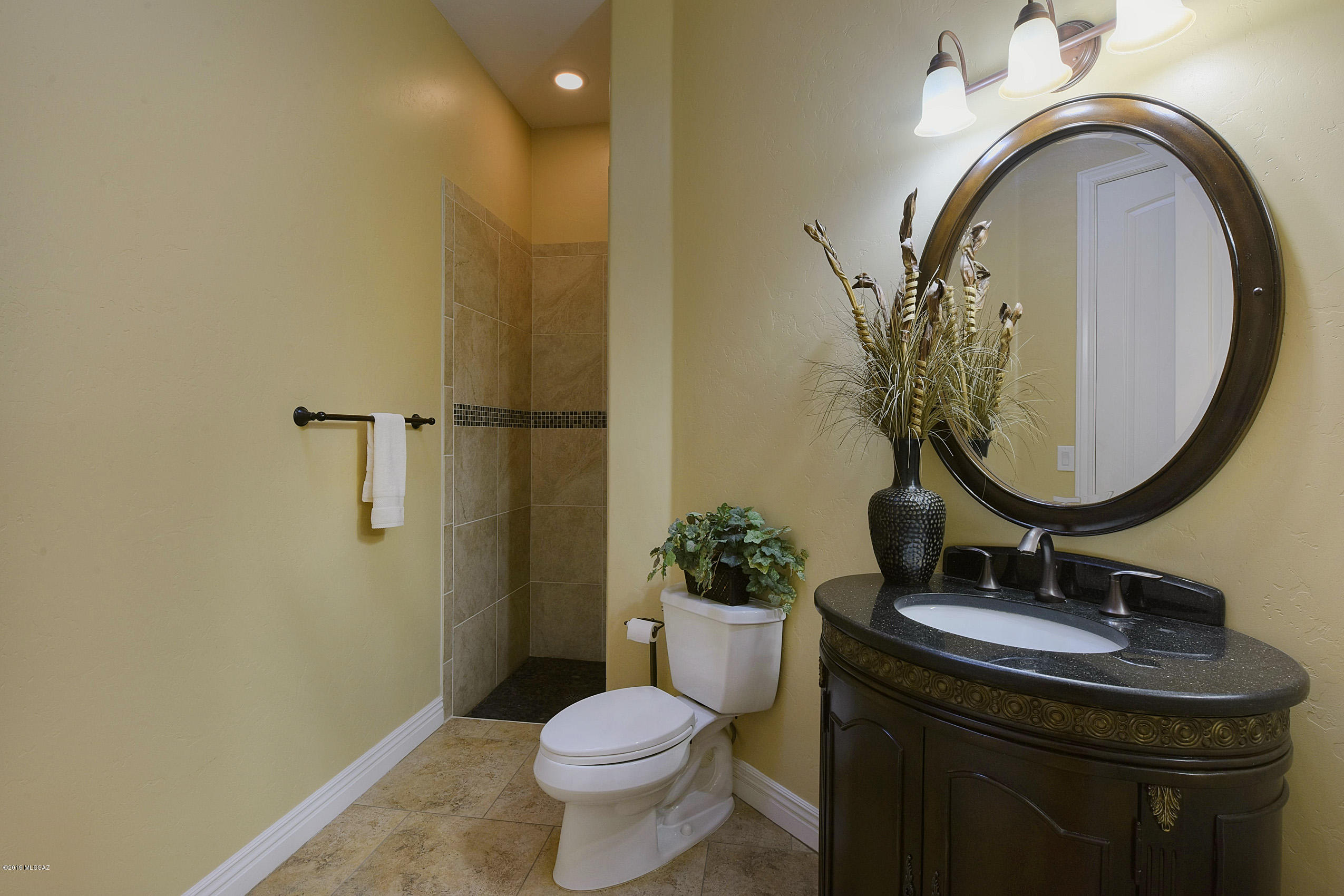 9610 N Camino Del Plata