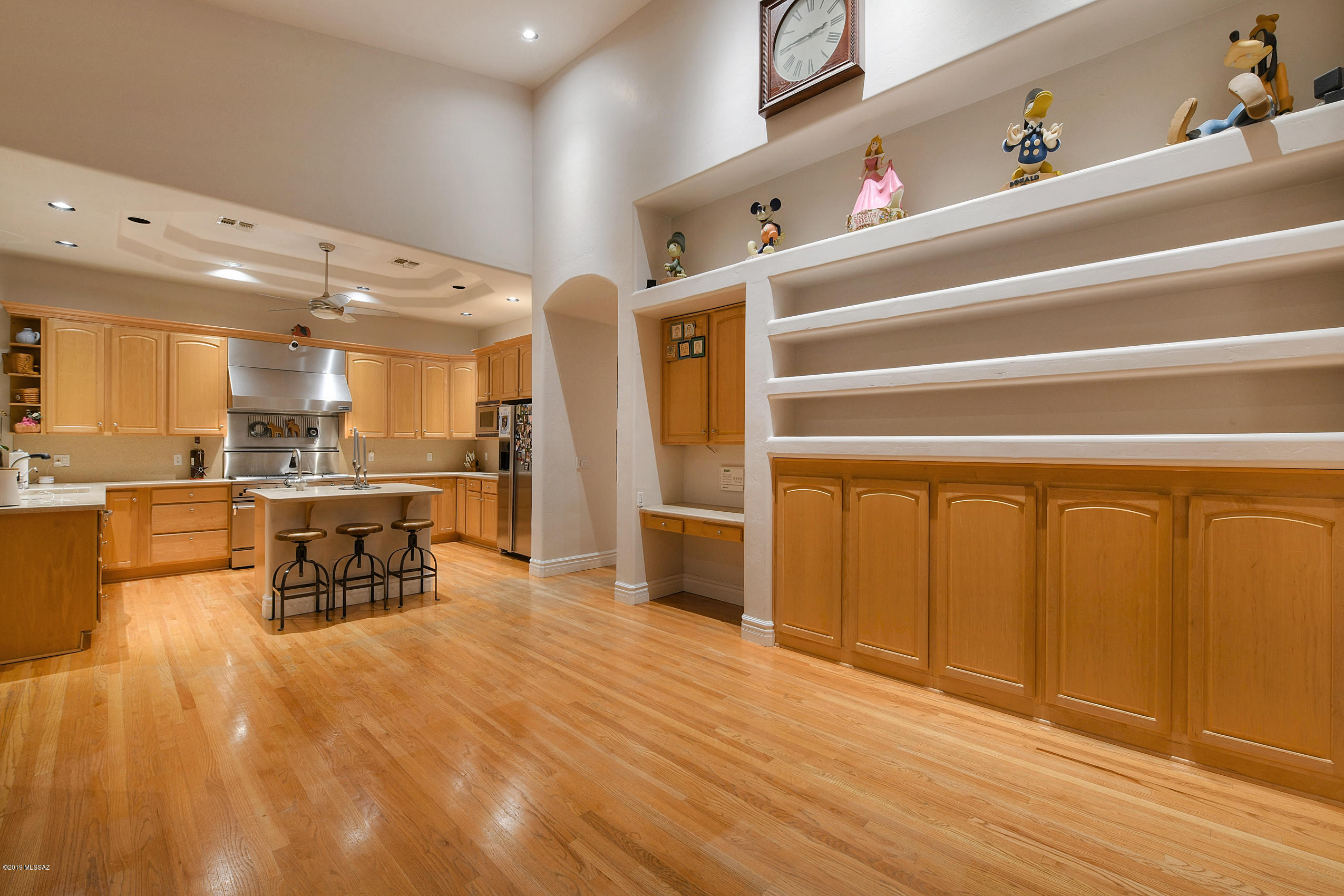 10065 N Ironwood Oasis Place