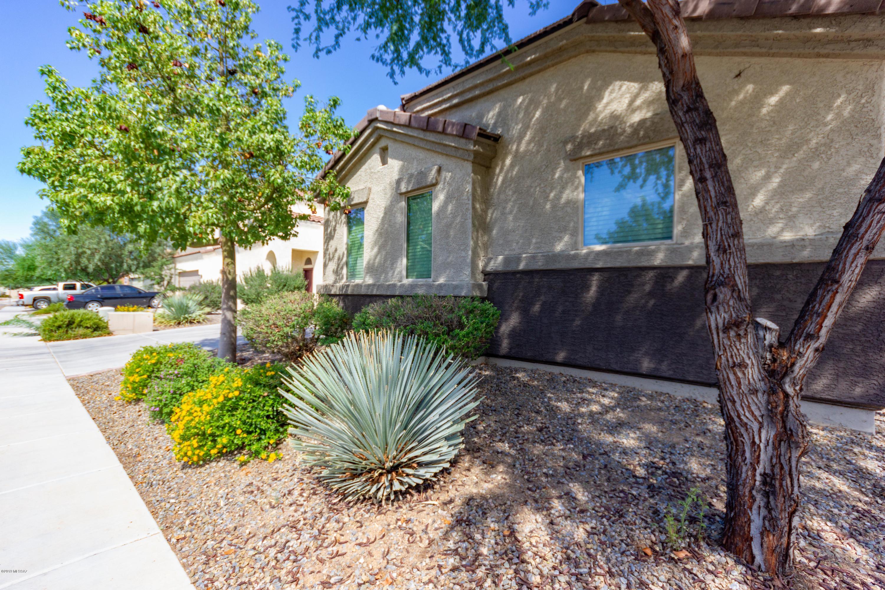 8296 W Melanitta Drive