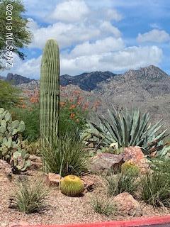 5051 N Sabino Canyon Road Unit: 1163