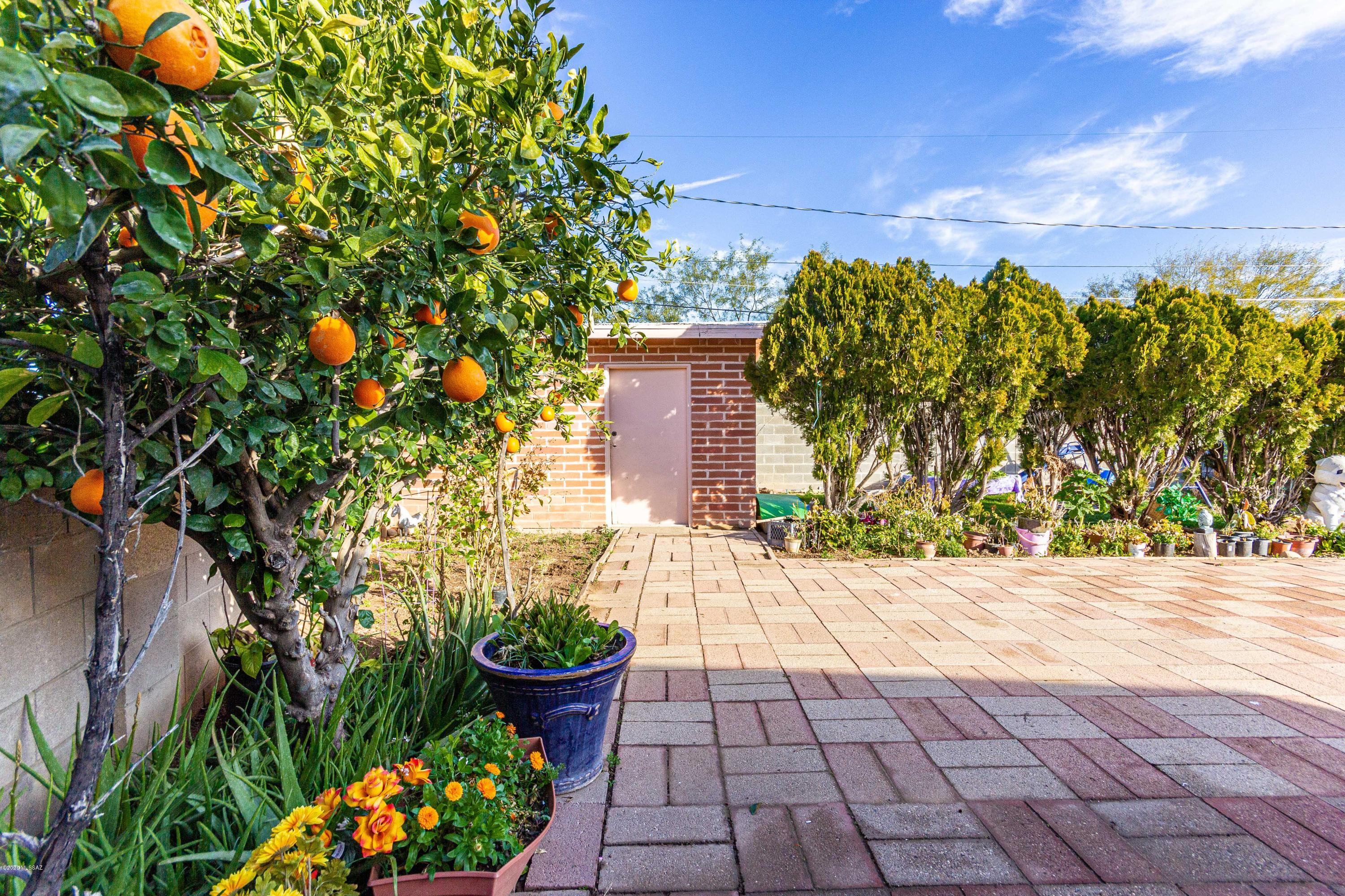 3901 E Alta Vista Street