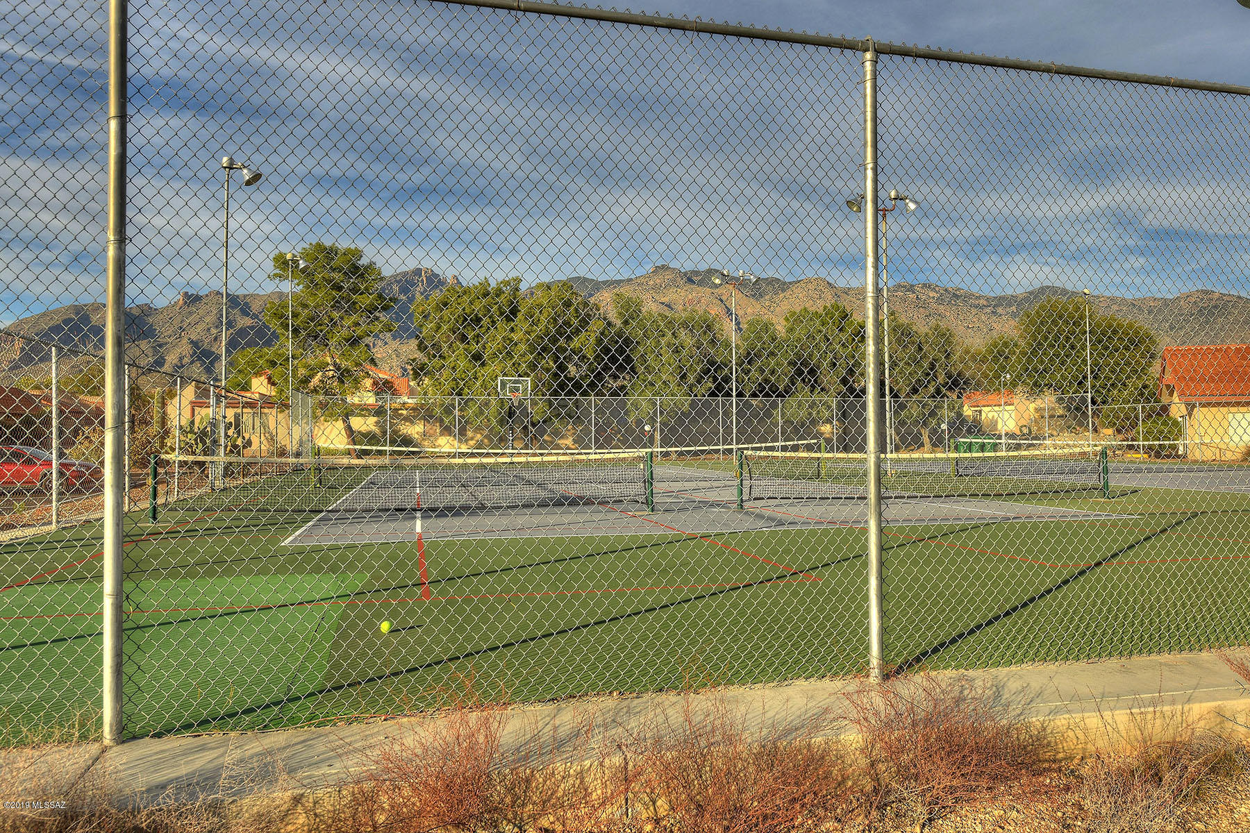 5617 N Camino De La Noche