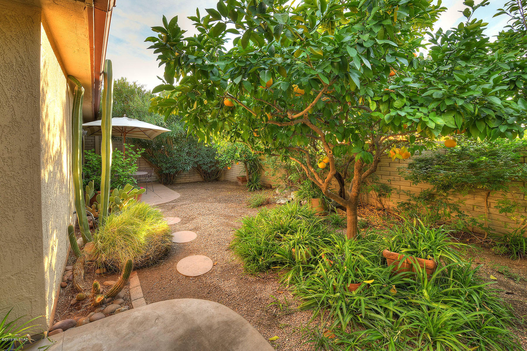 5617 N Camino De La Noche