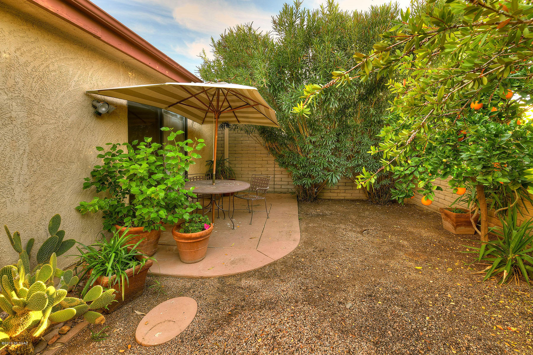 5617 N Camino De La Noche