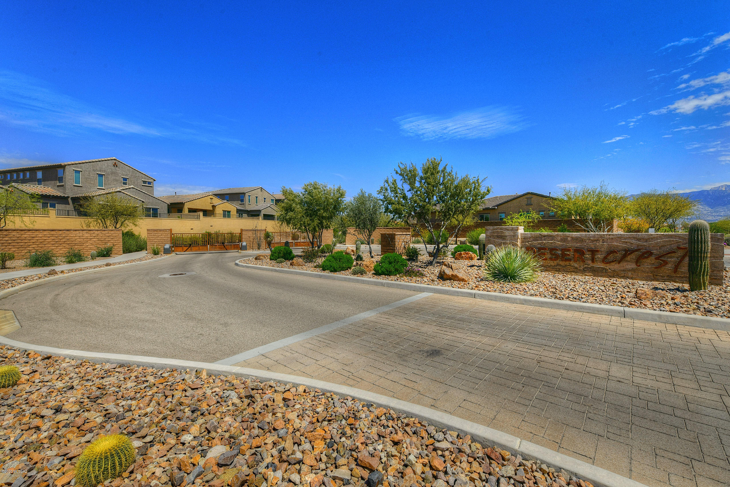 1005 W Lark Bunting Lane