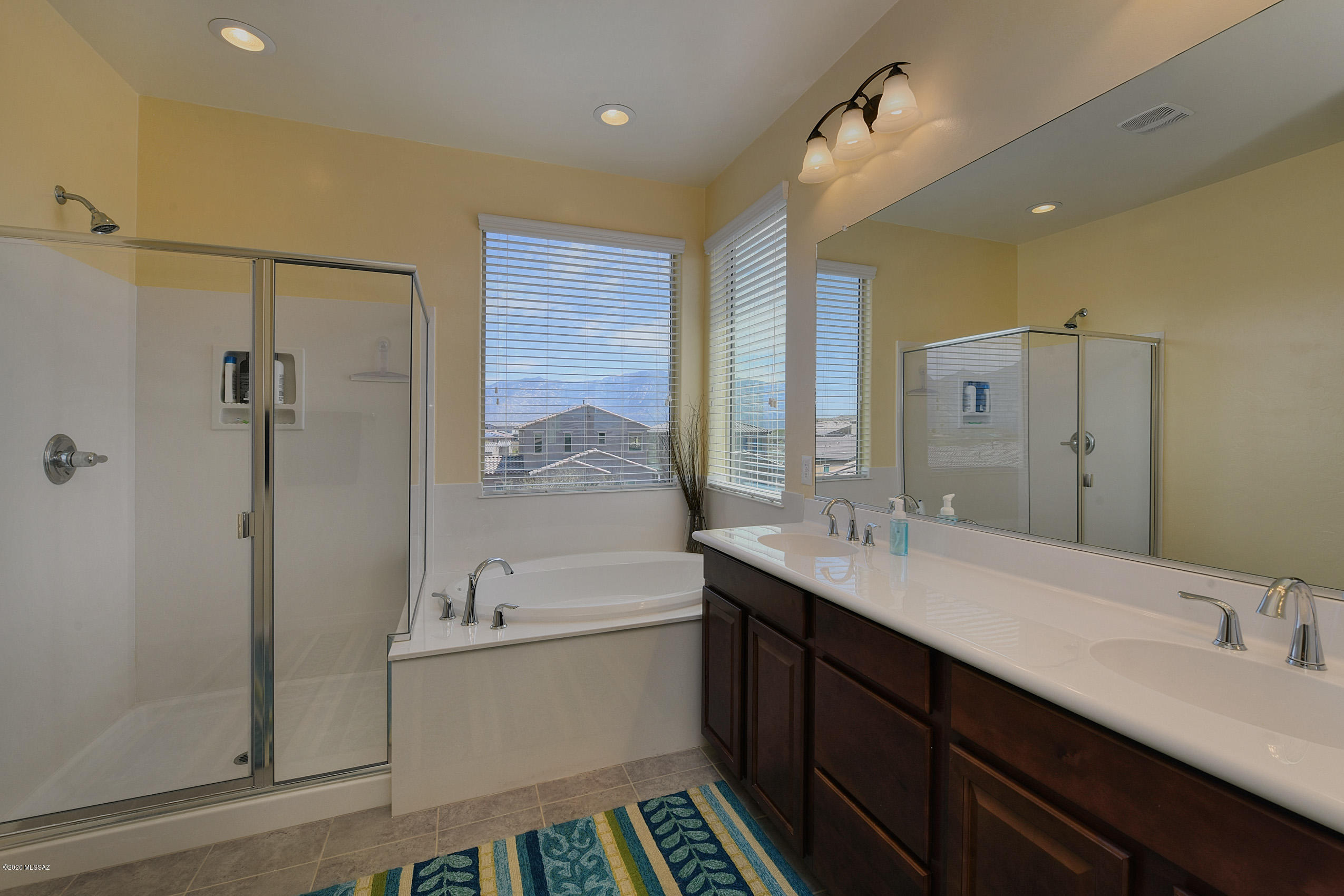 1005 W Lark Bunting Lane