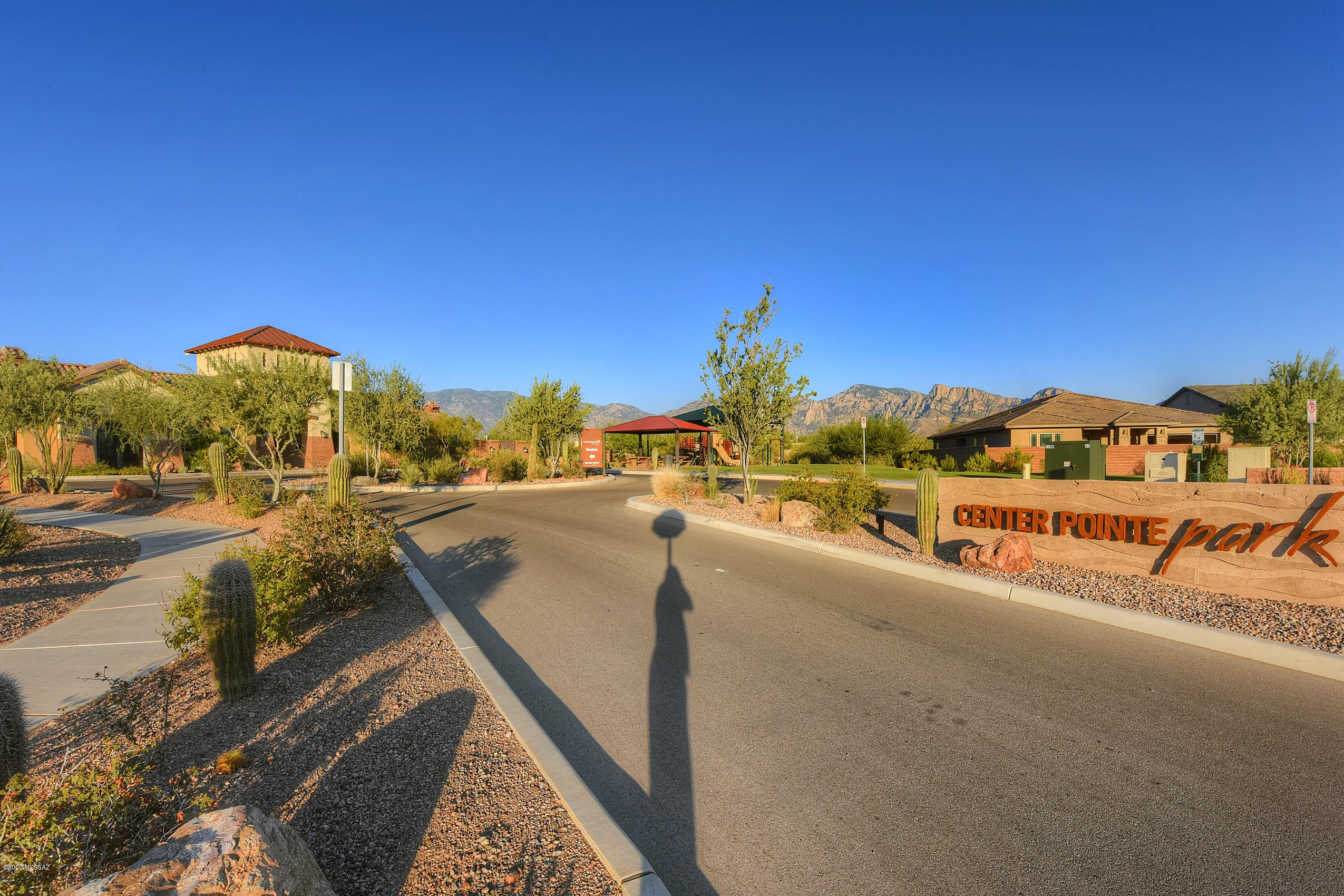 1005 W Lark Bunting Lane