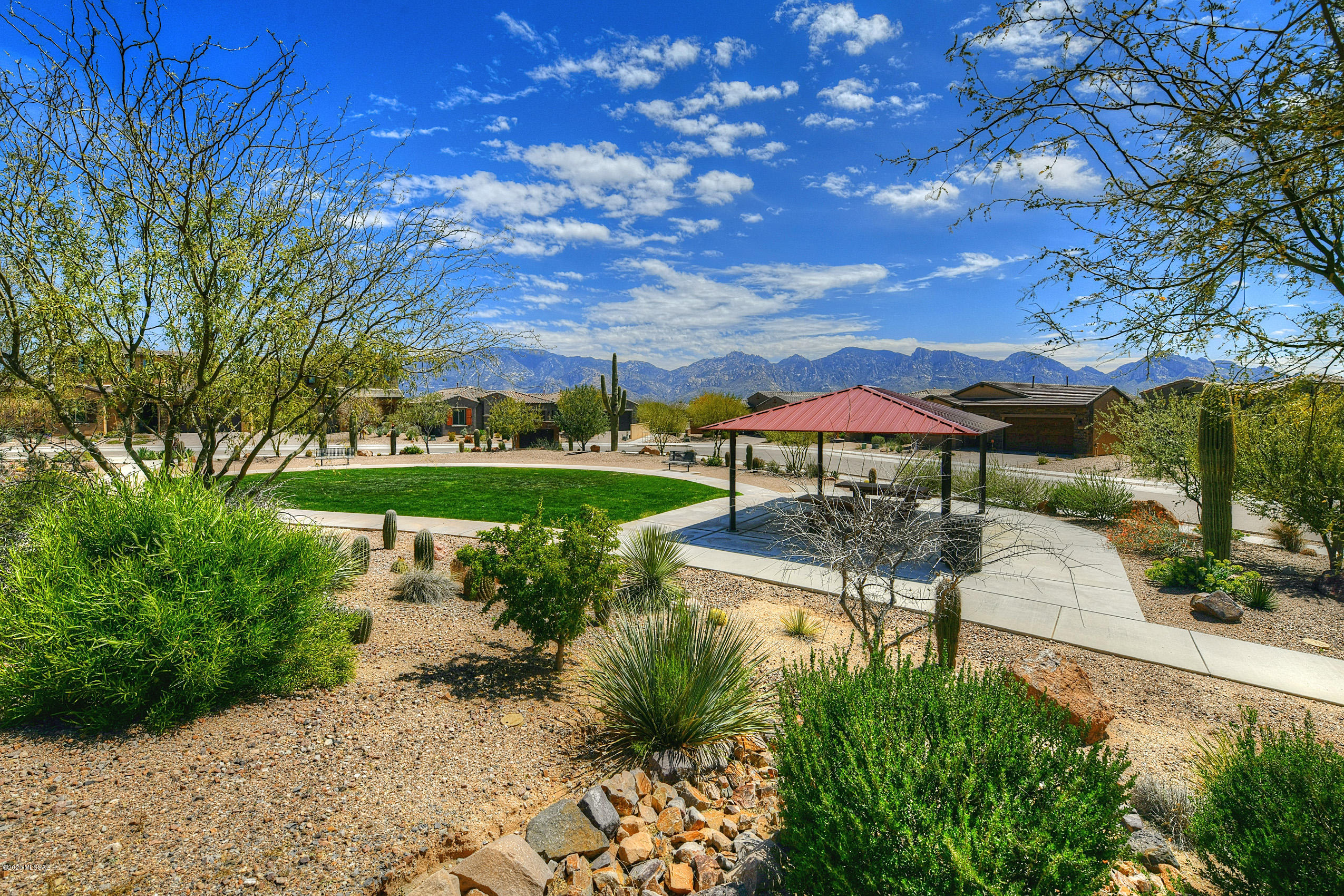 1005 W Lark Bunting Lane