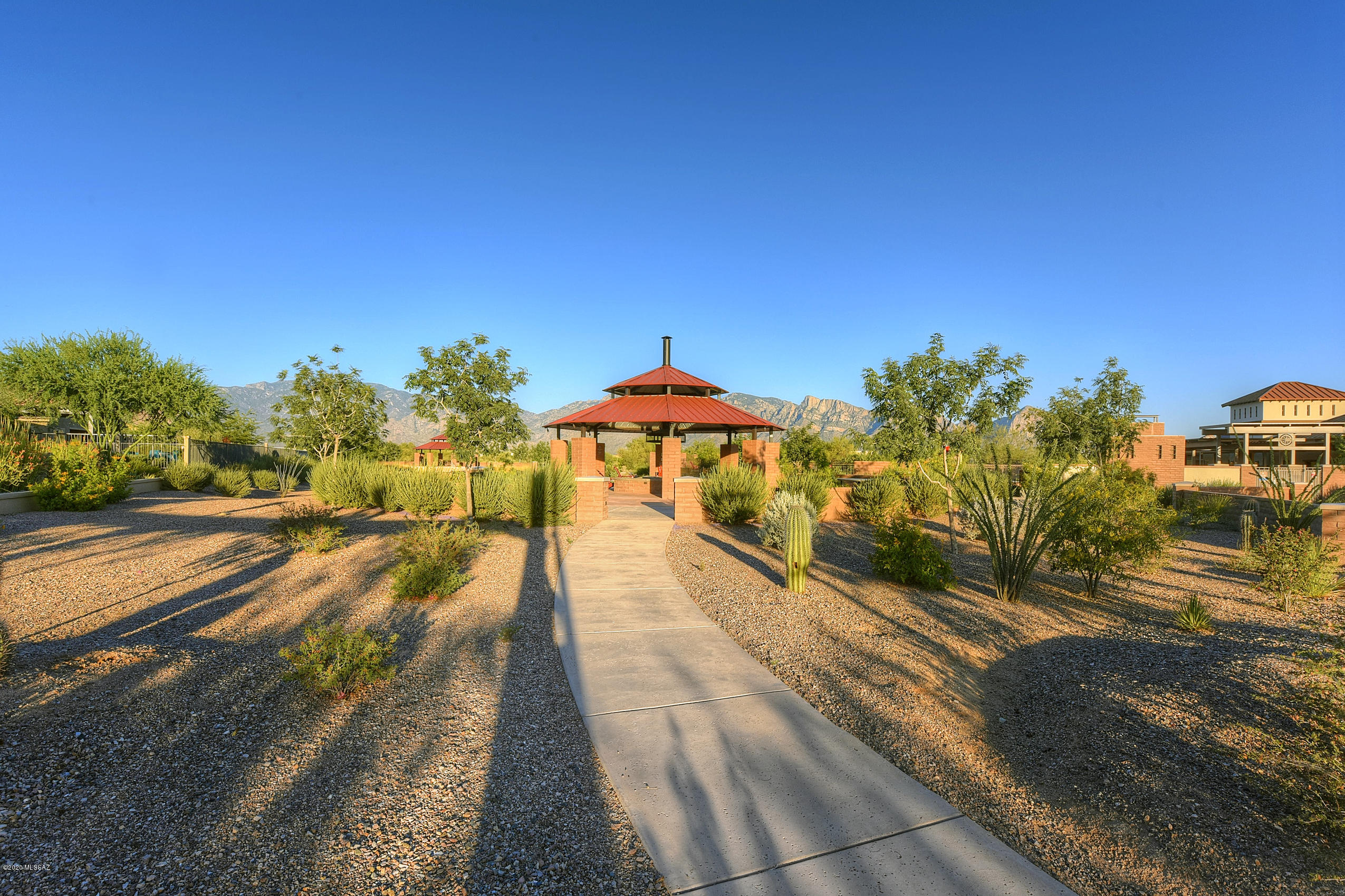 1005 W Lark Bunting Lane