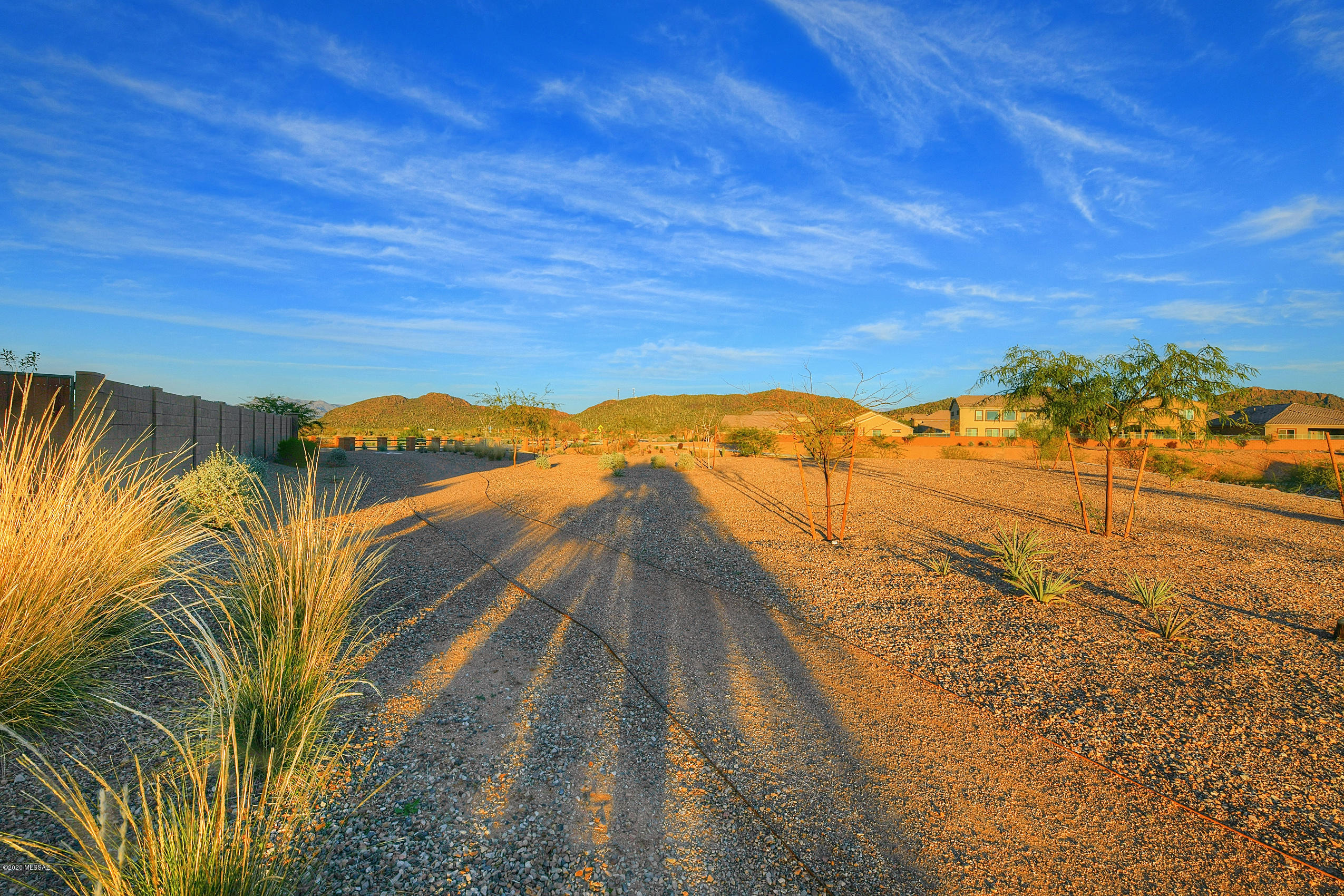 9877 N Howling Wolf Road