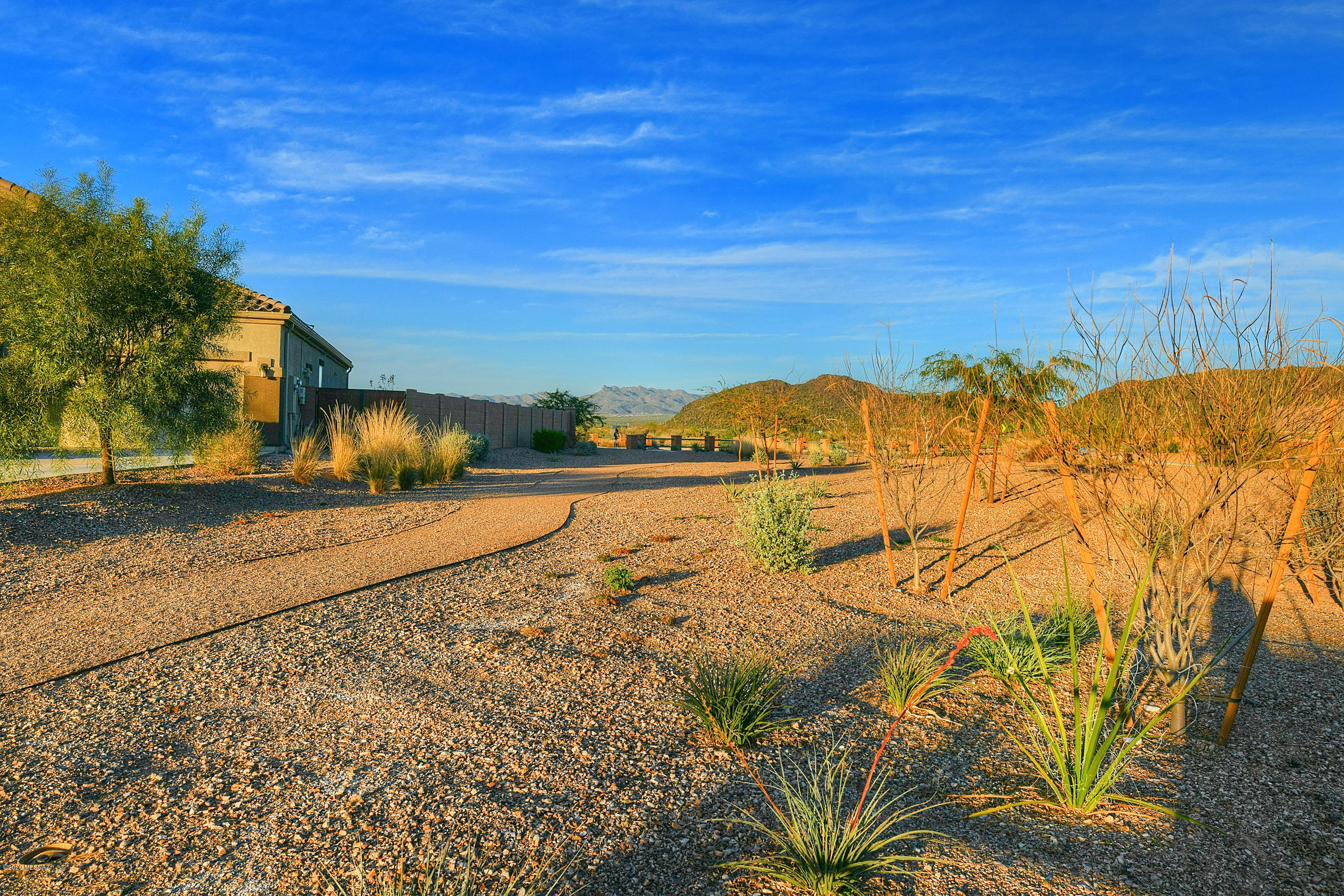 9877 N Howling Wolf Road