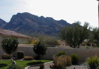 9730 N Golden Sun Drive