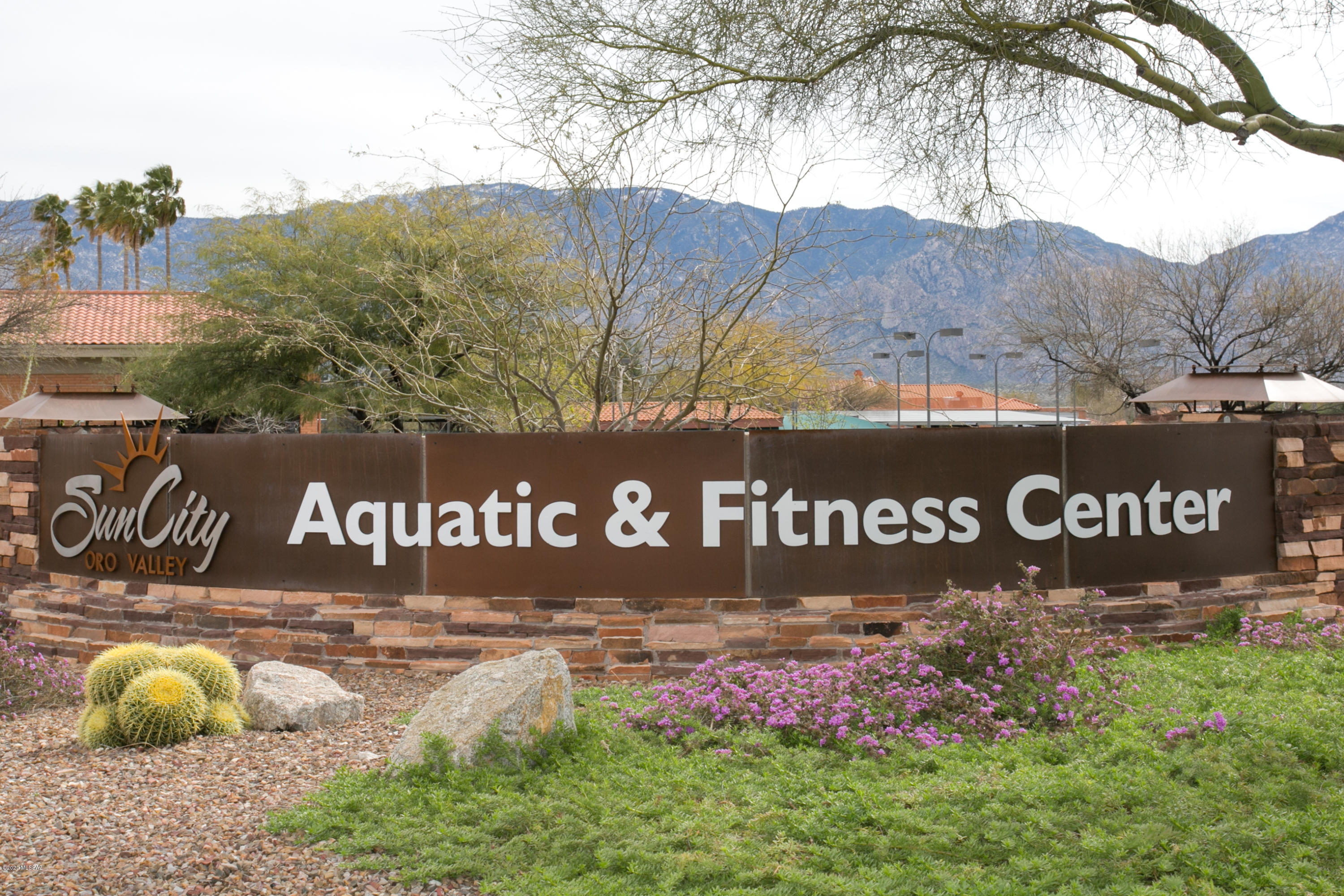 979 E Seven Palms Drive