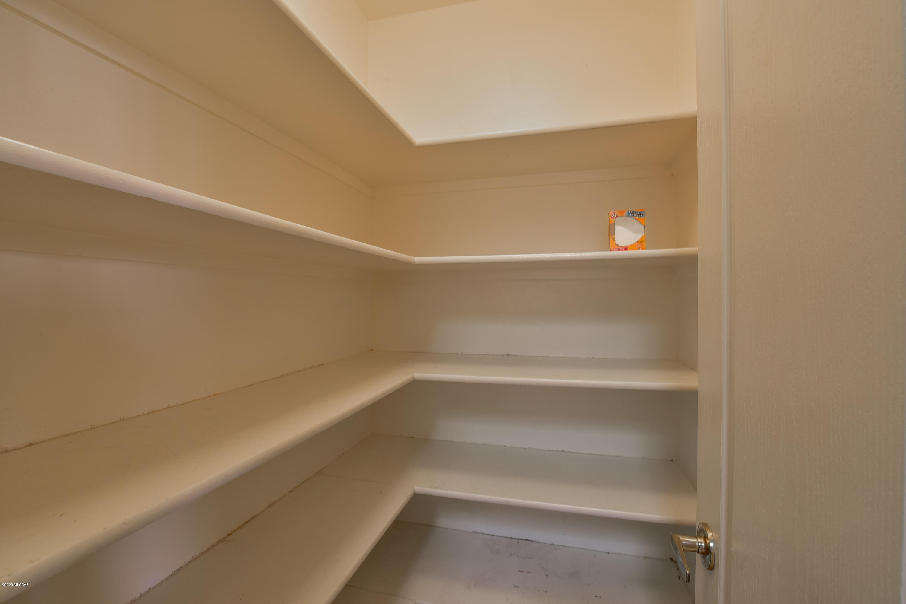 1923 N Wild Hyacinth Drive