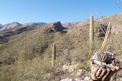 6620 N EAGLE RIDGE Drive