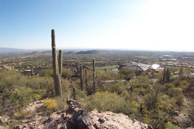 6620 N EAGLE RIDGE Drive