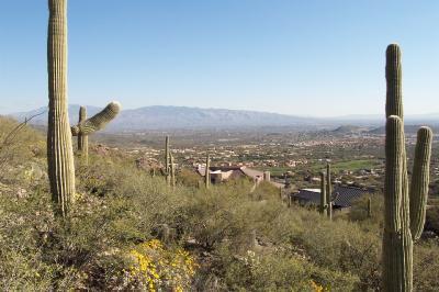 6620 N EAGLE RIDGE Drive