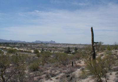 1600 W Jagged Rock Road