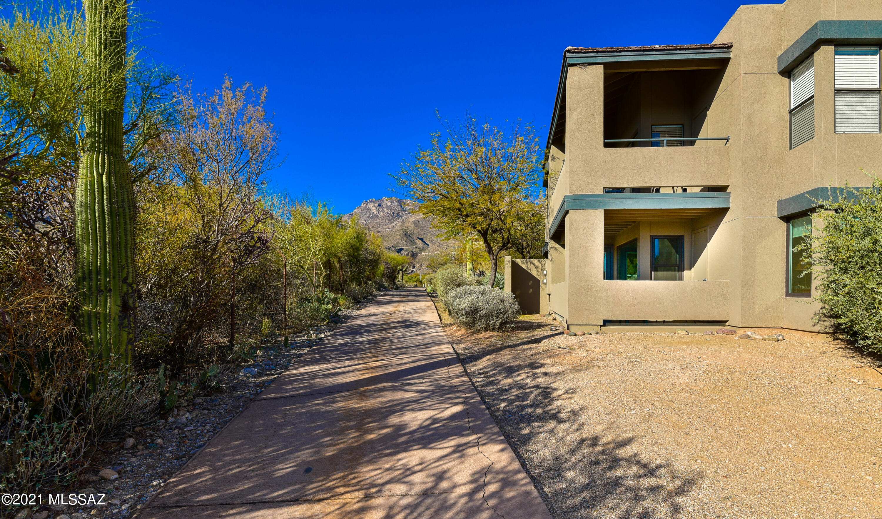 5855 N Kolb Road Unit: 2101