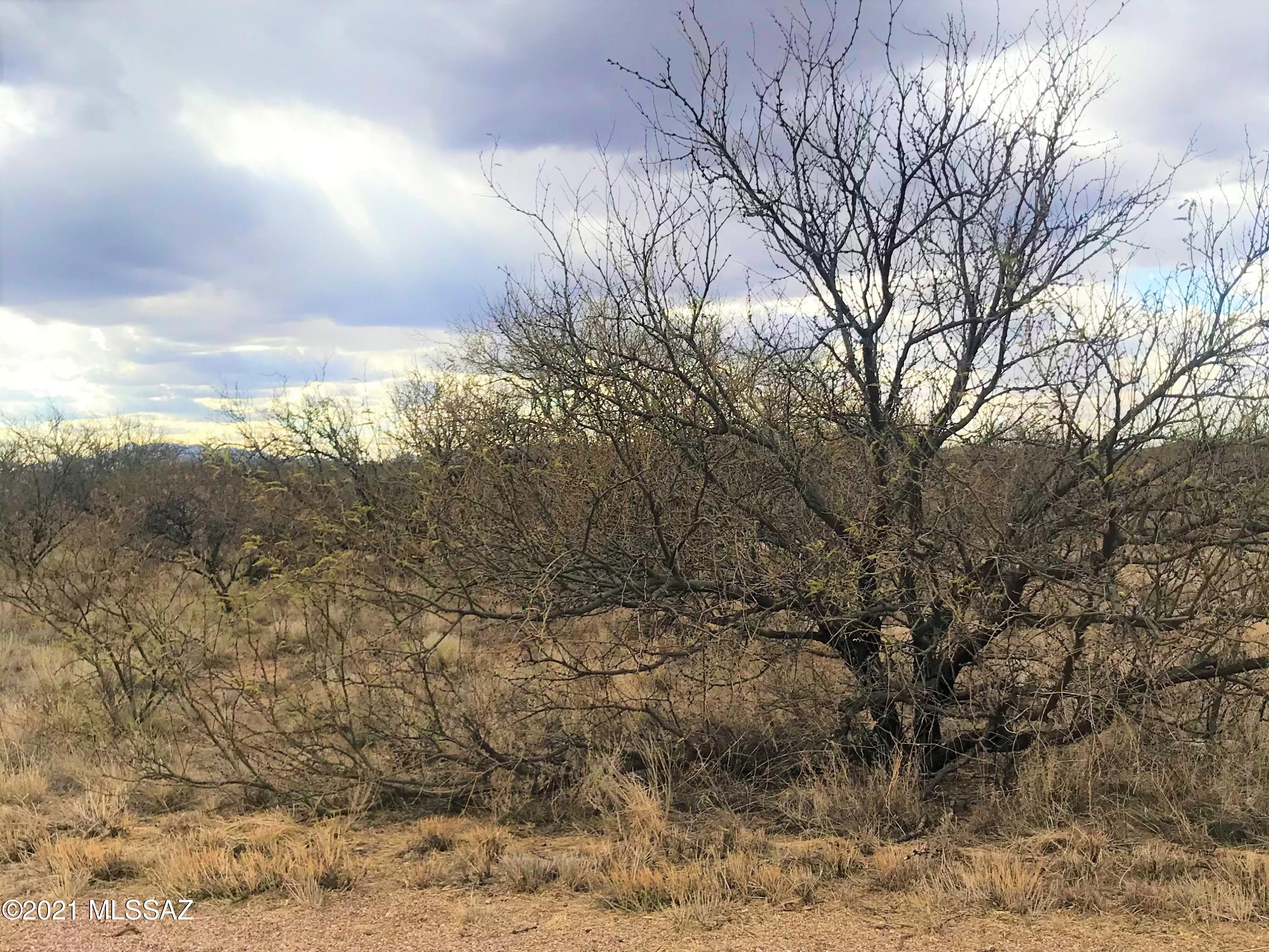 00 W Thunder Pass Road Unit: 84