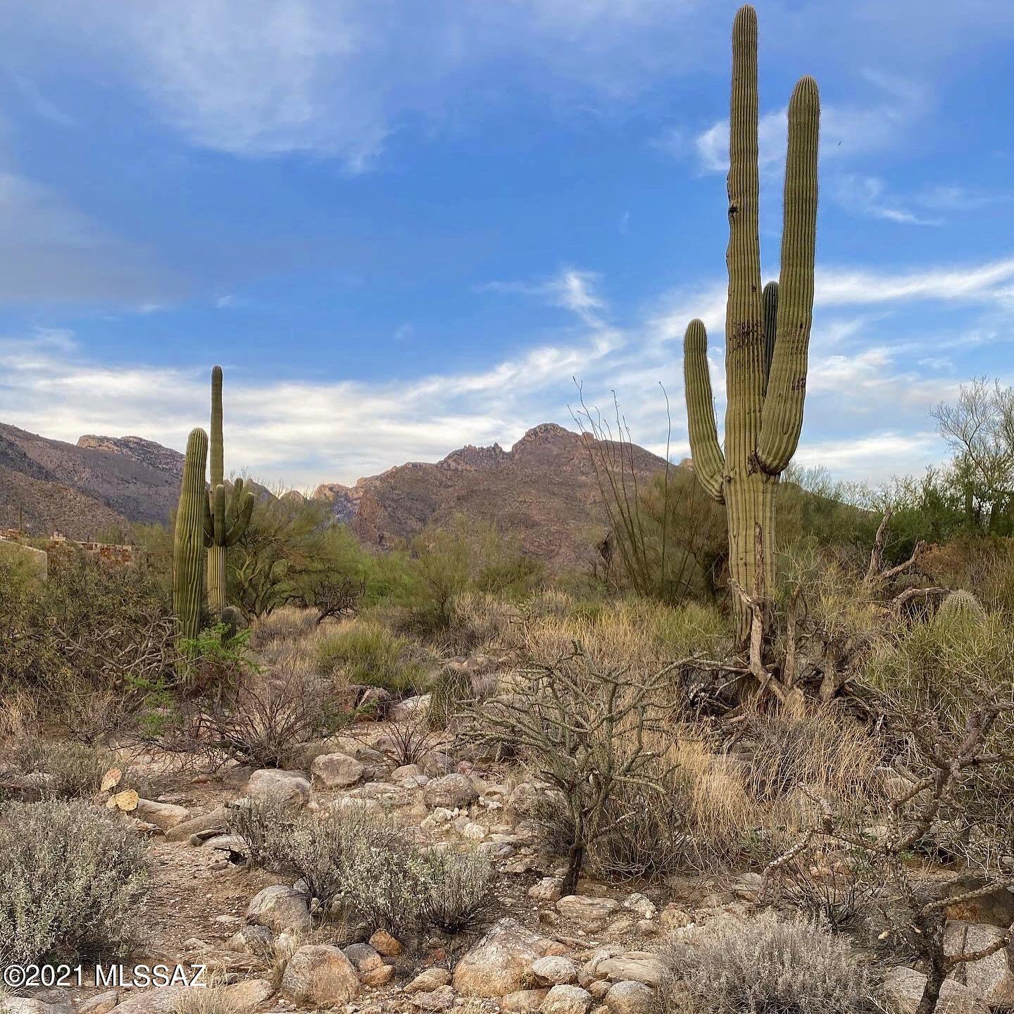 1307 E Desert Garden Drive Unit: 138