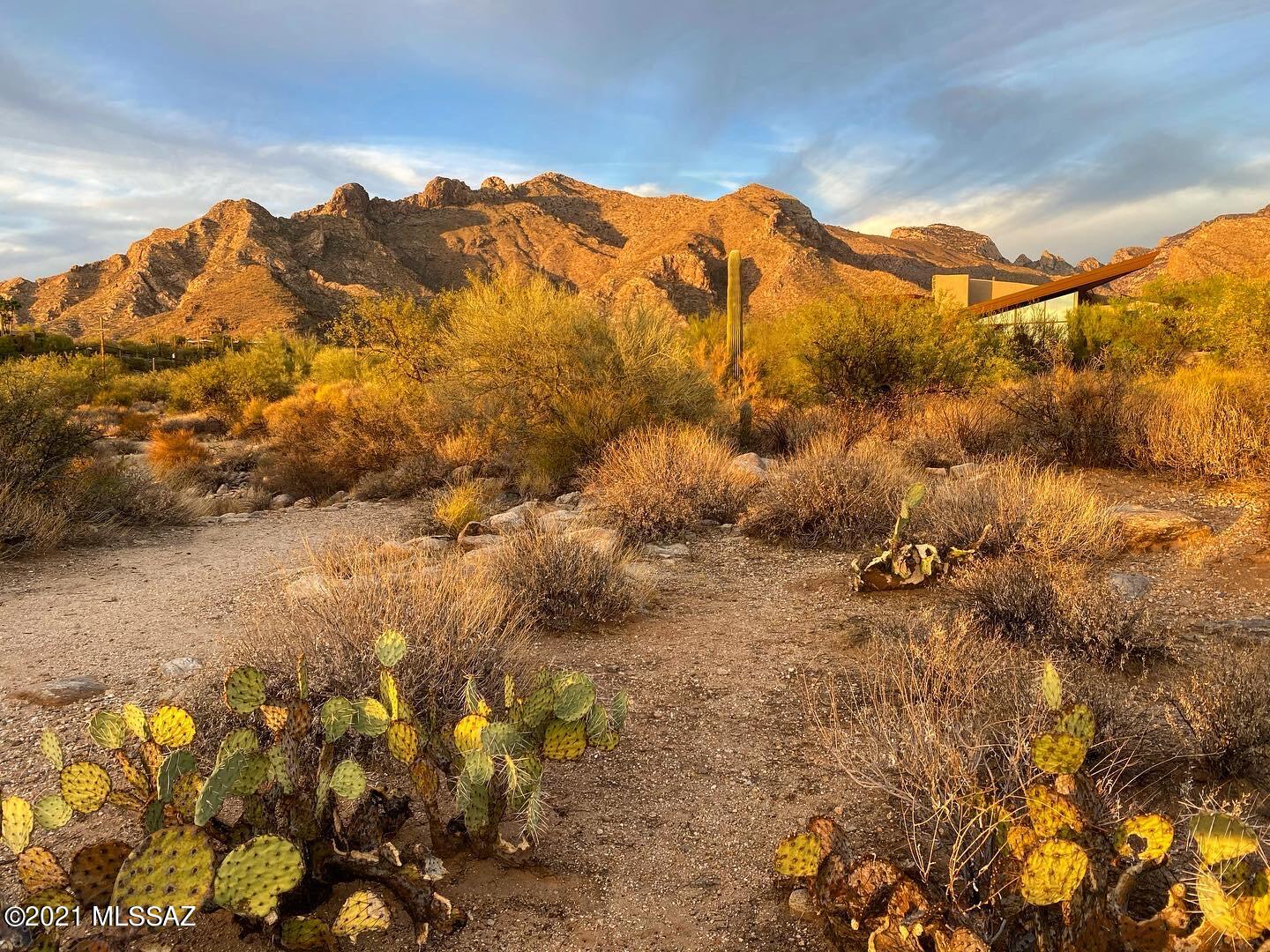 1307 E Desert Garden Drive Unit: 138