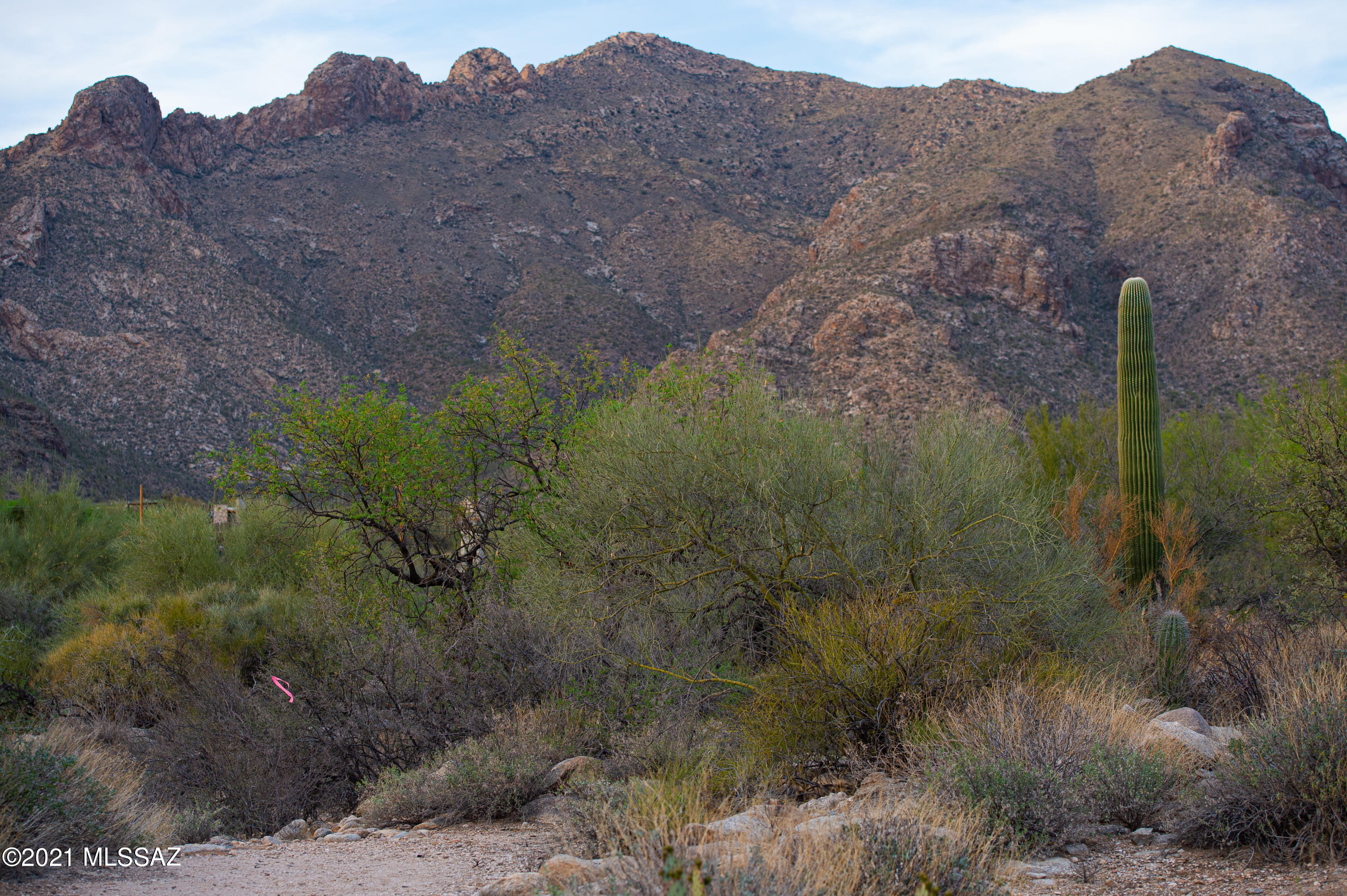 1307 E Desert Garden Drive Unit: 138