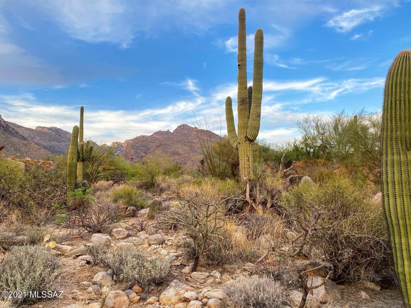 1307 E Desert Garden Drive Unit: 138