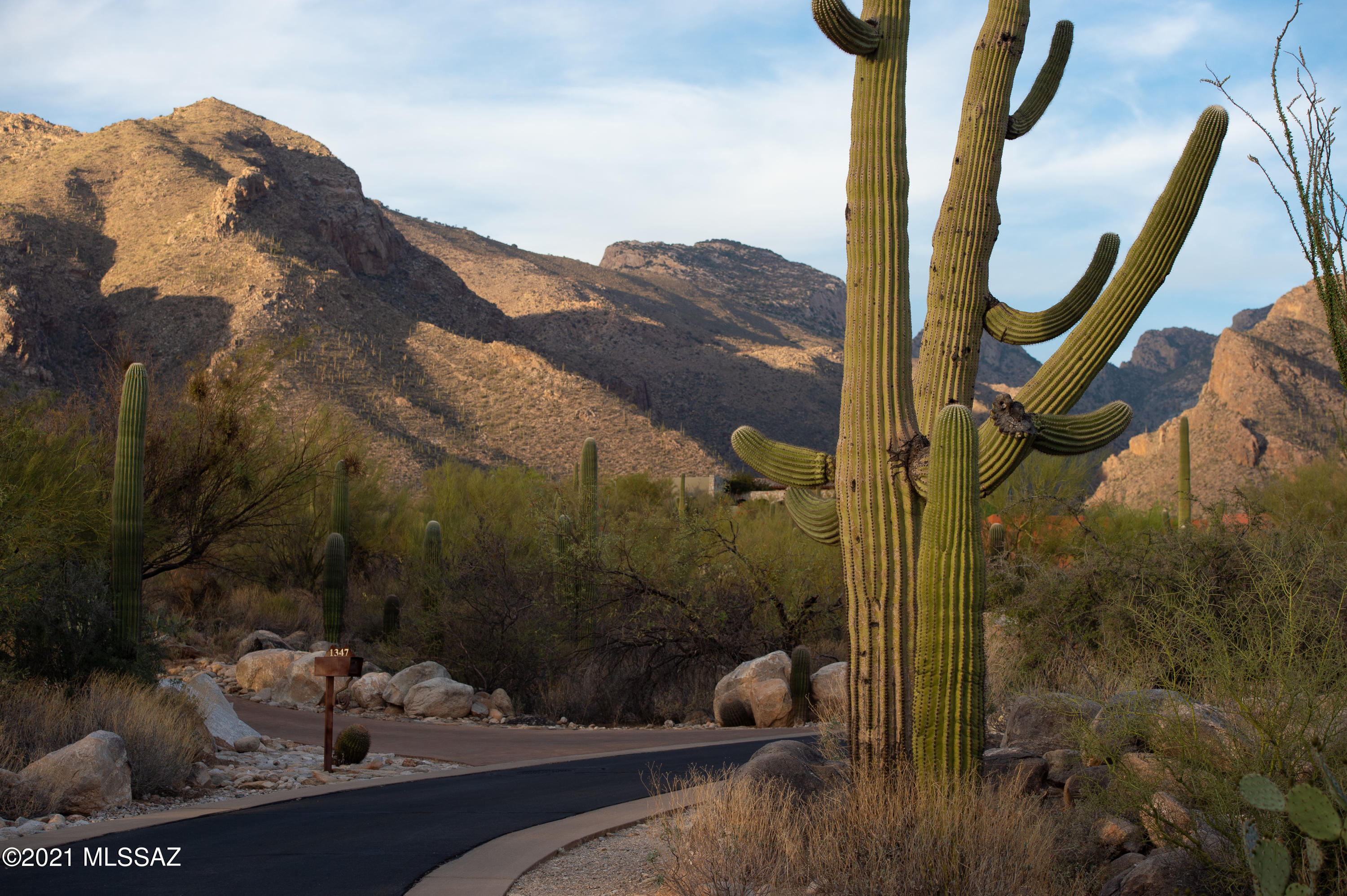 1307 E Desert Garden Drive Unit: 138