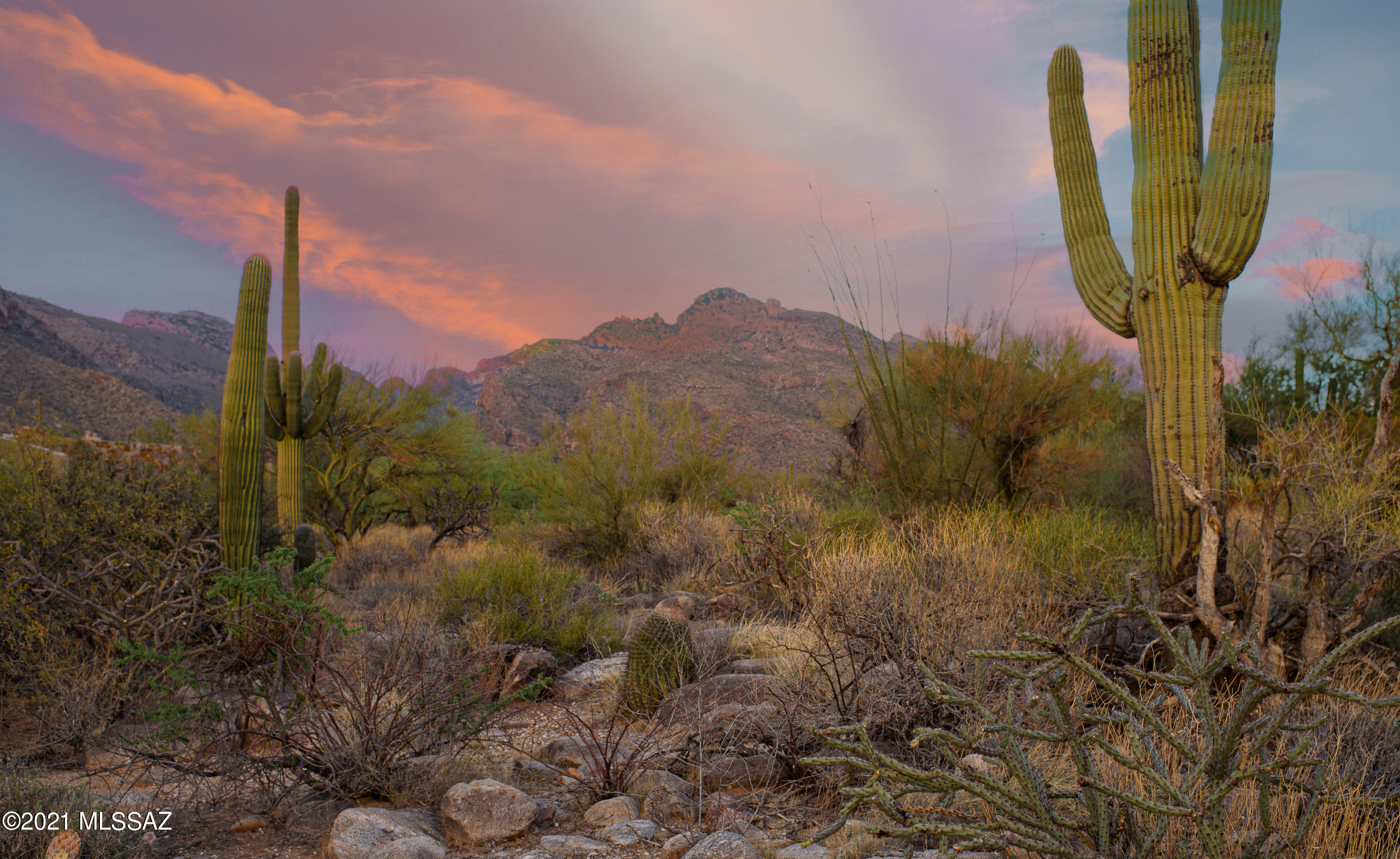 1307 E Desert Garden Drive Unit: 138