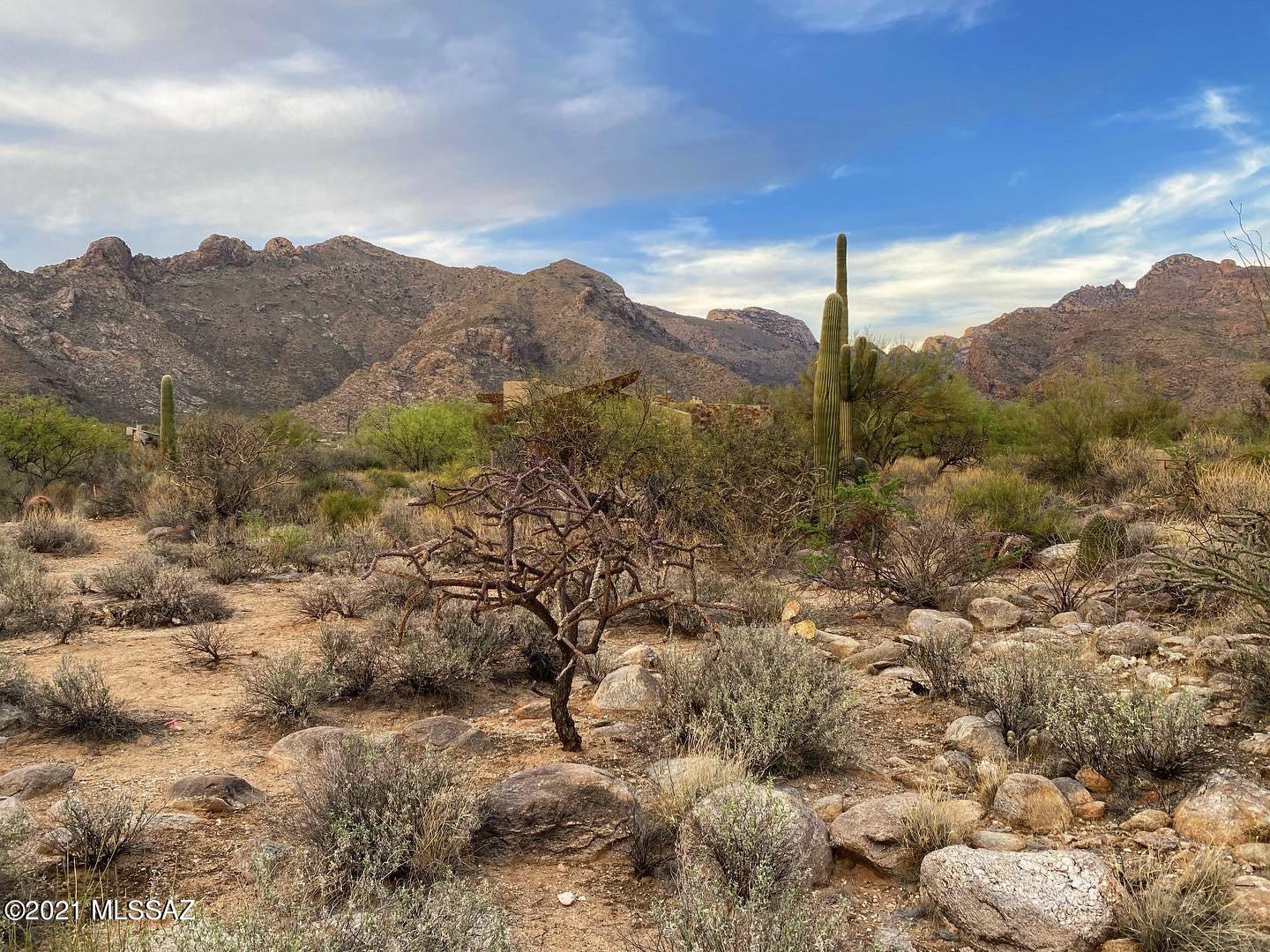 1307 E Desert Garden Drive Unit: 138