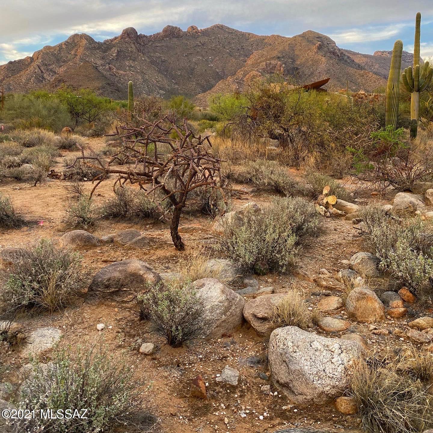 1307 E Desert Garden Drive Unit: 138