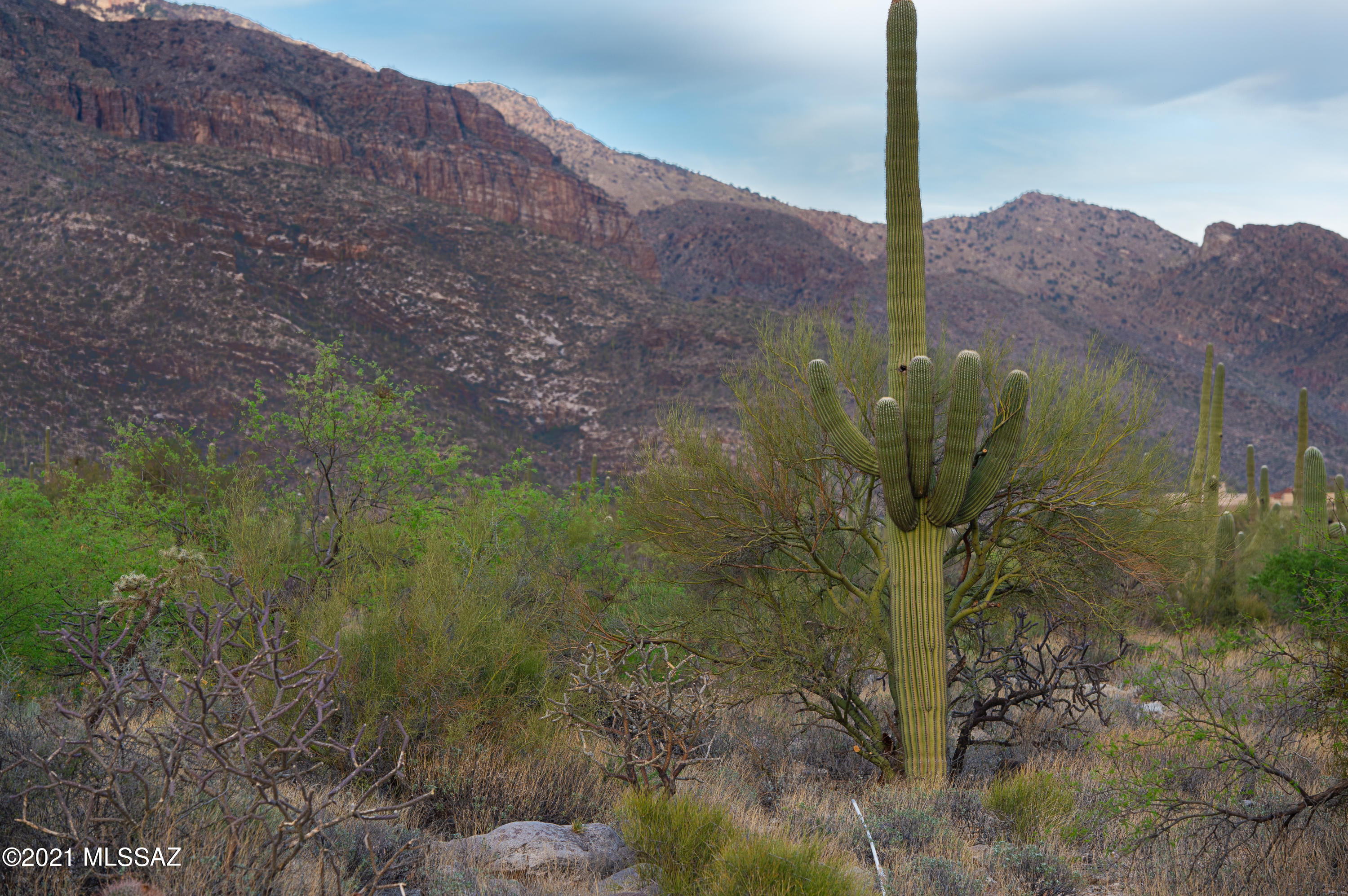 1307 E Desert Garden Drive Unit: 138