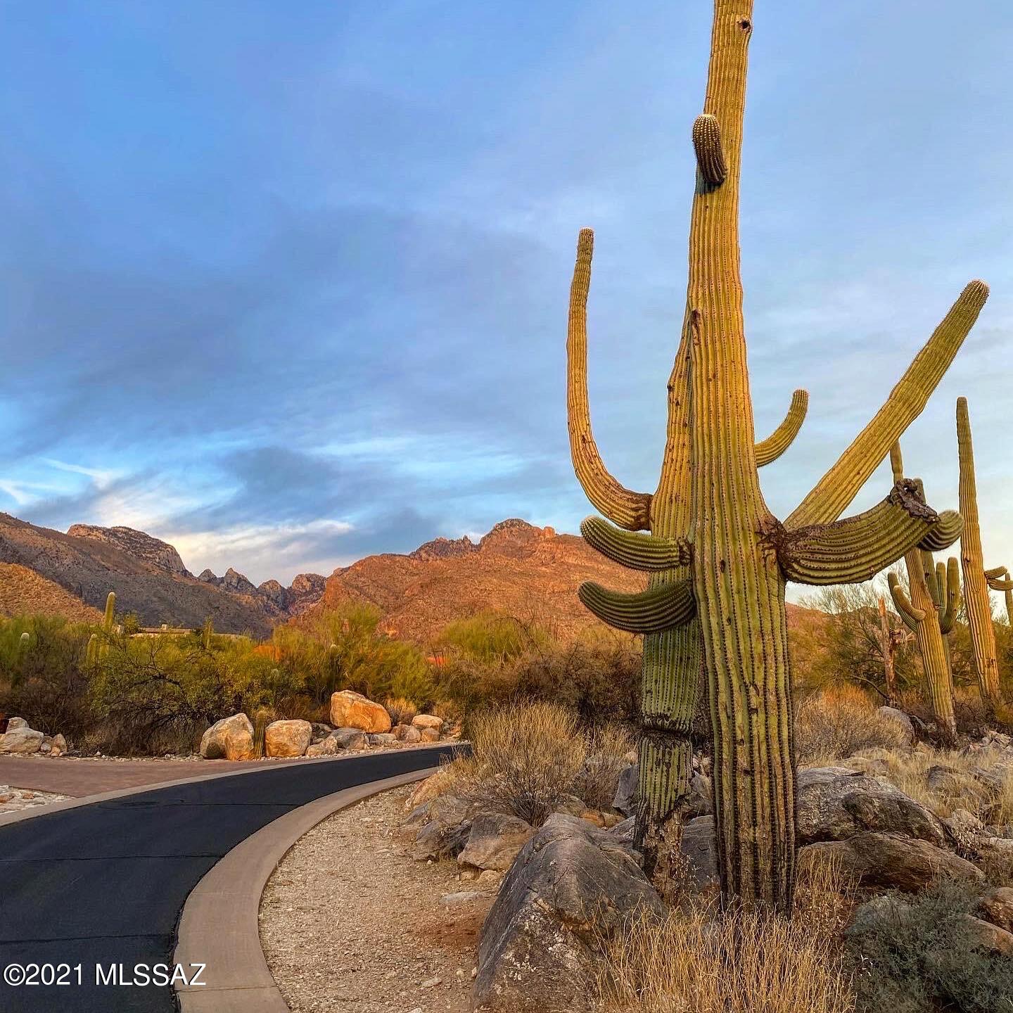 1307 E Desert Garden Drive Unit: 138