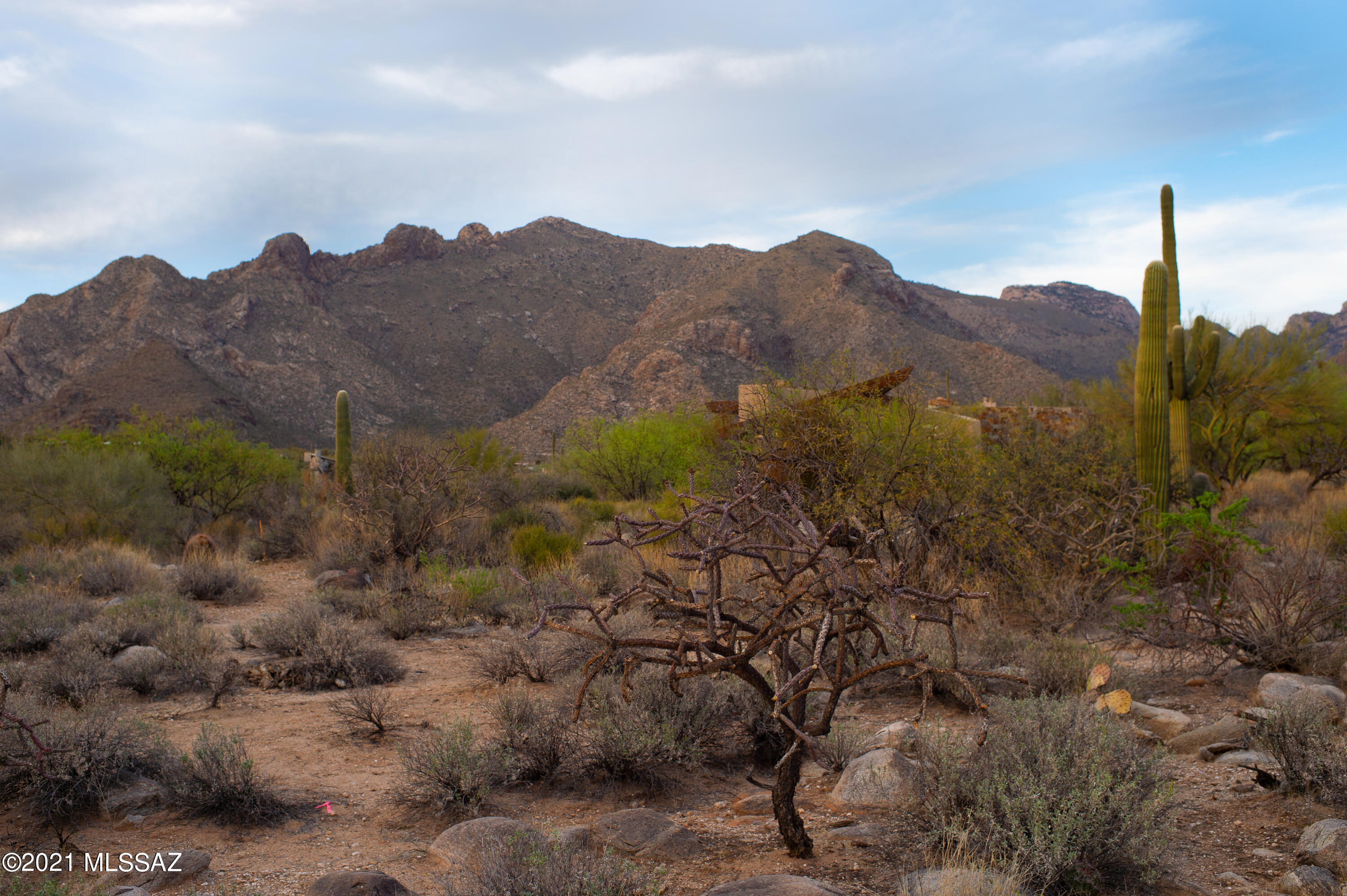 1307 E Desert Garden Drive Unit: 138