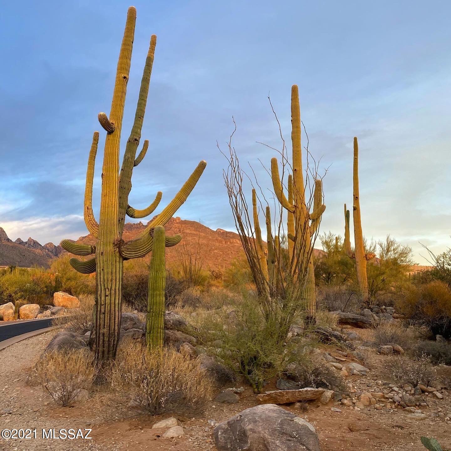 1307 E Desert Garden Drive Unit: 138