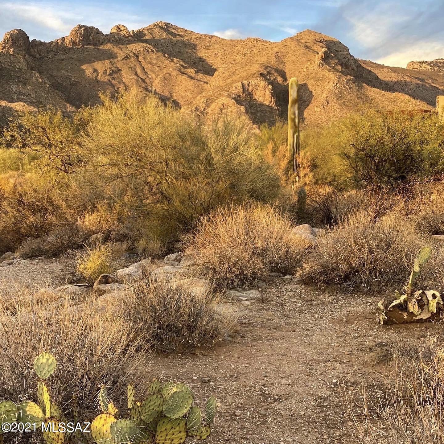 1307 E Desert Garden Drive Unit: 138